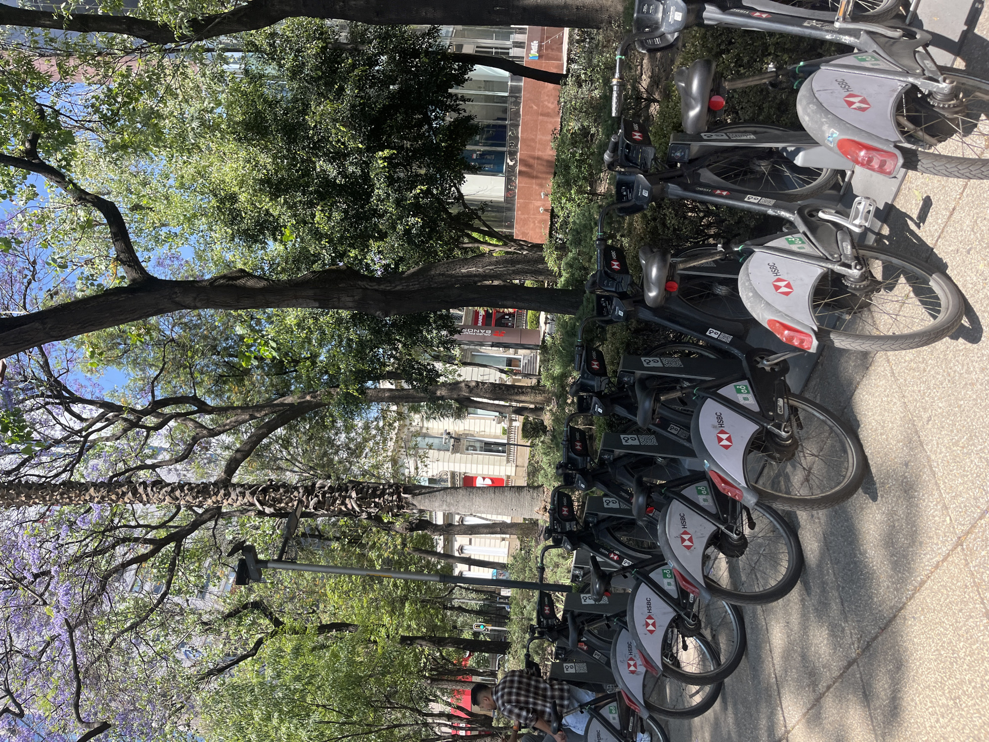 The image shows a row of HSBC-branded rental bikes parked along a sidewalk in Mexico City, Mexico. A man in a plaid shirt is near the bikes. Lush green trees and some buildings are visible in the background, and the lighting suggests it's a sunny day. The bikes are lined up neatly, indicating an organized bike-sharing system.