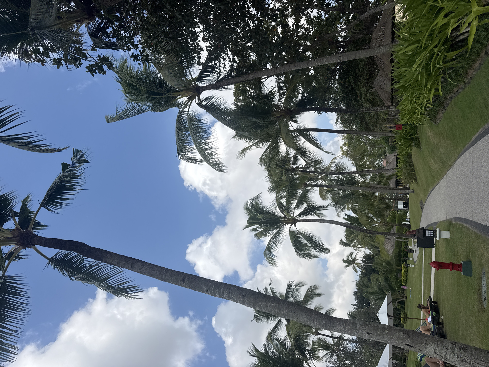 The image depicts a resort in Kuta Selatan, Indonesia, under a partly cloudy blue sky. A paved pathway curves through a manicured lawn lined with lush green foliage. Several palm trees of varying heights dominate the scene, with their fronds reaching towards the sky. In the foreground, a red fire hydrant stands on the grass. On the left side of the pathway, two lounge chairs are occupied by individuals relaxing. Further back, a few thatched-roof bungalows are visible, nestled amidst the tropical vegetation. The overall ambiance suggests a serene and idyllic vacation setting.