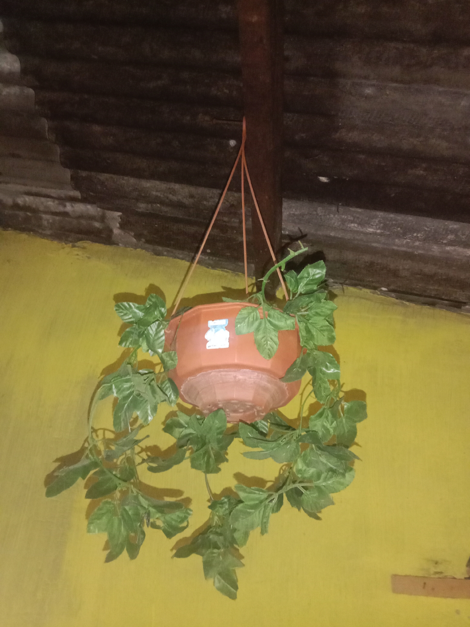 A potted plant hangs from a wooden beam attached to a corrugated metal roof. The plant, with green leaves and a brown pot, is suspended by orange strings. The wall behind it is painted yellow. The scene appears to be outdoors.