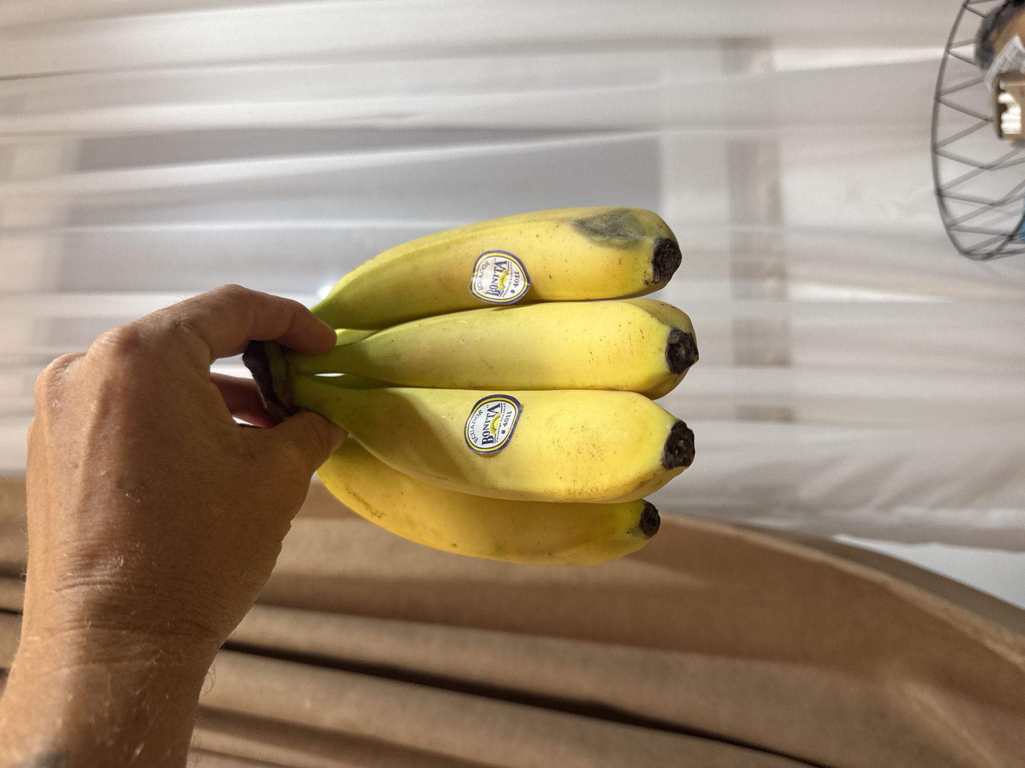 A person's hand holds a bunch of five ripe yellow bananas. The bananas have dark tips and some faint brown spotting on their skins. Two of the bananas have blue and white stickers that say "BONITA" and "#4011". The background consists of light brown curtains on the left and sheer white curtains on the right, suggesting an indoor setting. There is also a blurred metal basket in the lower right corner. The image does not provide any information or context related to the city of Boreti, Montenegro.