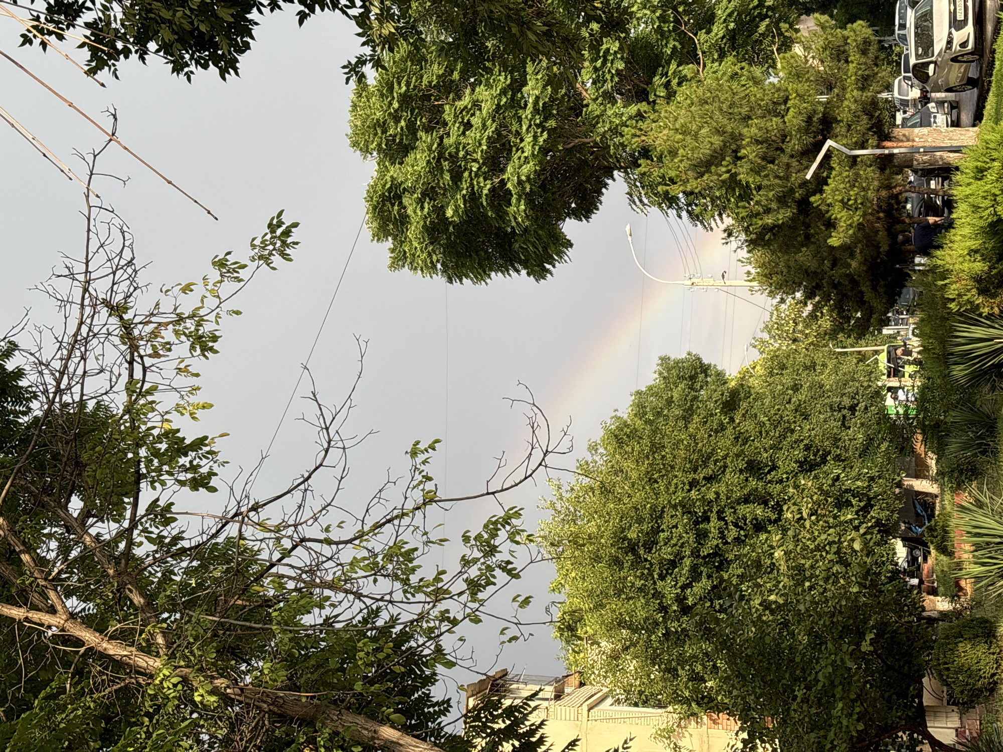 This media file shows a scene with lush green trees and a faint rainbow against a bright, overcast sky. The perspective is looking upwards, with the trees framing the sky and the rainbow. In the background, there are hints of urban elements, including streetlights, power lines, and parked vehicles, suggesting a residential or semi-urban setting. Some buildings with light-colored facades are also visible at the lower edge of the frame. The lighting suggests it might be daytime, possibly after a rain shower, which would explain the rainbow. The overall mood is serene and natural, despite the urban context. No people are clearly identifiable, and the focus is on the natural phenomenon and the surrounding greenery. The image is captured in Tashkent, Uzbekistan.