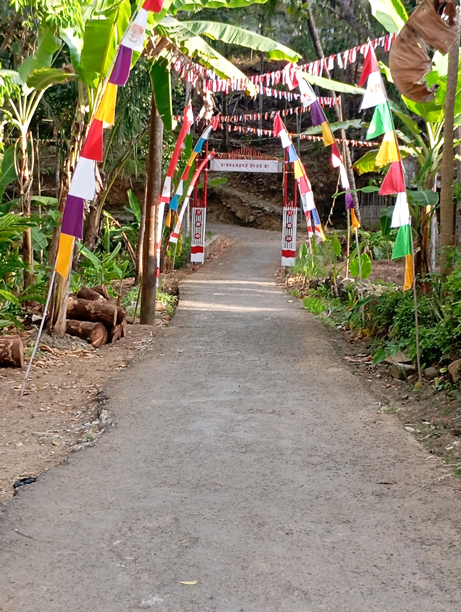 The image depicts a paved road in Cigunung, Indonesia, leading towards an arched entrance adorned with Indonesian flags and colorful pennants. The flags are predominantly red and white, with some featuring green and yellow. Lush green foliage, including banana trees, frames the scene on both sides of the road, suggesting a tropical or subtropical environment. Several logs are stacked on the left side of the road, near the entrance. The road appears to be in a rural or semi-rural area, with the entrance possibly marking a public space or a residential area. The lighting suggests it is daytime, with sunlight casting shadows. There are no people visible in the image.