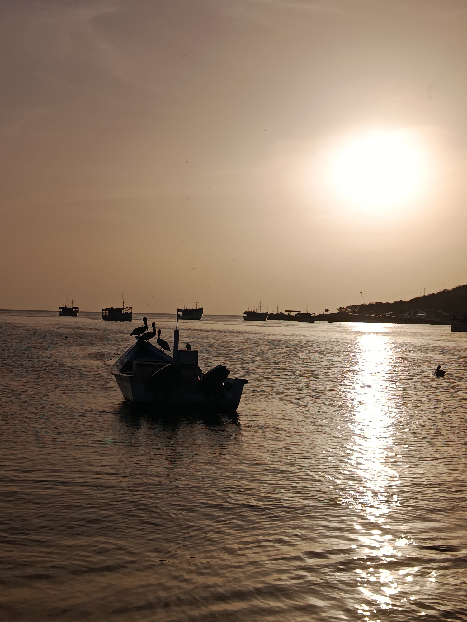In the city of Juan Griego, Venezuela, a tranquil scene unfolds at sunset. The sun, a brilliant orb, casts a warm, golden glow across the sky and reflects shimmering patterns on the calm waters of the bay. Silhouetted against this radiant backdrop are several fishing boats of various sizes, some anchored in the distance, others closer to the shore. The most prominent vessel in the foreground is a smaller boat, adorned with a few pelicans perched on its structure. The boat is empty of human presence. The water is gently rippling, creating a serene and peaceful atmosphere. The shoreline is visible in the distance, with a faint hint of buildings and vegetation. The overall impression is one of quiet solitude and the natural beauty of a coastal town at dusk.
