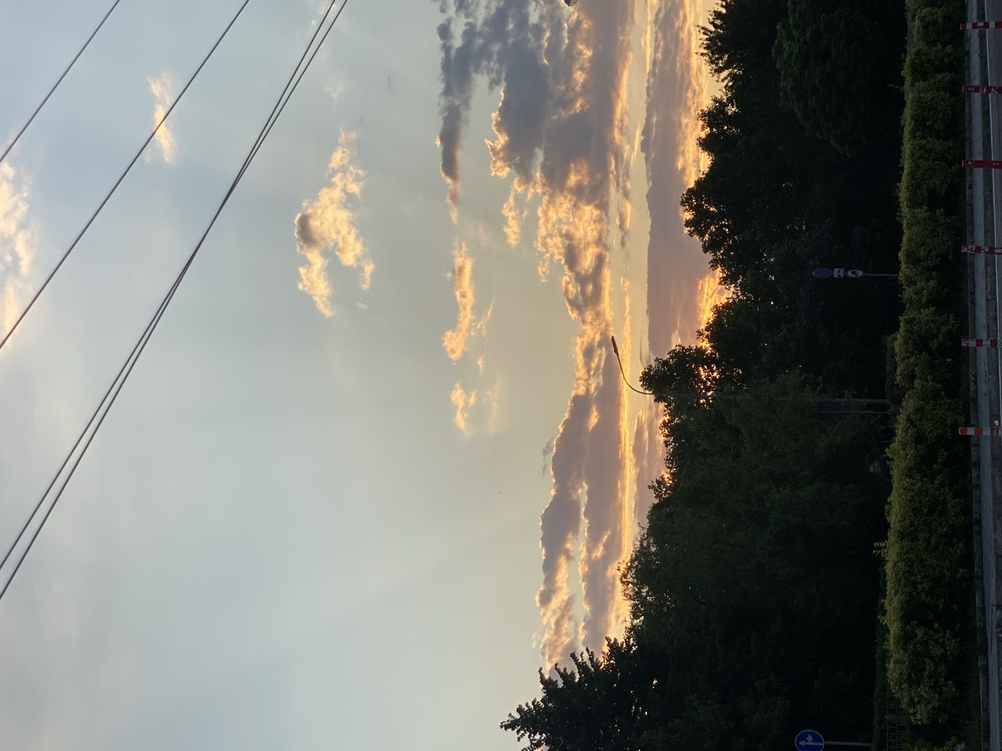 This is a medium shot, eye-level, vertical, outdoor photograph taken during the golden hour, likely at sunset. The sky dominates the upper half of the frame, featuring a pale blue gradient transitioning to a soft yellow near the horizon. Scattered clouds, illuminated with warm orange and pink hues from the setting sun, are visible. Light rays pierce through some of the clouds, creating a dramatic effect. Three dark, thin power lines stretch diagonally across the top portion of the image.
The lower half of the image showcases a dense line of dark green trees, forming a thick canopy that partially obscures the horizon. The trees are silhouetted against the brighter sky. In front of the trees, a low, manicured hedge runs horizontally across the bottom of the frame. Beyond the hedge, a paved road surface is visible, with a curb separating it from the verge. Several traffic cones, alternating red and white, are placed along the road edge.
On the left side of the frame, a blue traffic sign with a white arrow pointing left is mounted on a pole. Further into the trees, a street lamp is visible. On the right side, another traffic sign on a pole is partially obscured by the trees. The overall atmosphere is serene, with a focus on the interplay of light and shadow in a natural, urban-adjacent environment. There are no visible people in the frame.