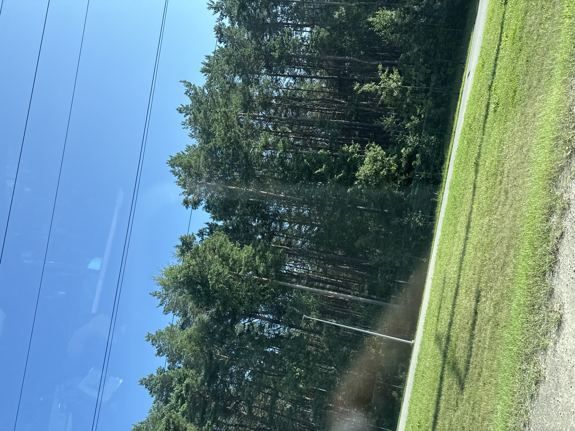 The image depicts a sunlit scene with a forest of tall, green coniferous trees on the right side, bordering a grassy area and a paved path on the left. The sky is clear and blue, with a few power lines visible against it. In the foreground, there is a patch of rough gravel. A tall, thin, white pole stands near the center of the frame, adjacent to the paved path. The overall impression is one of a roadside or park area, likely outside of the immediate city center, given the dense forest and open sky. The lighting suggests it is daytime, possibly mid-morning or afternoon. No people or animals are present in the image. The scene is static and devoid of any activity.