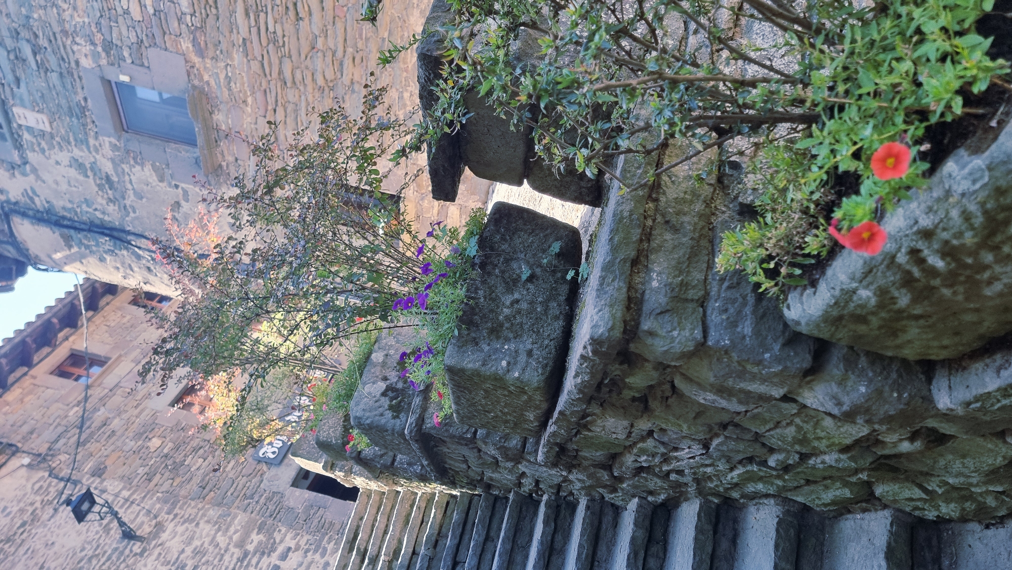 The image depicts a stone staircase ascending alongside a weathered stone wall in the historic village of Rupit i Pruit, Spain. Several stone planters are integrated into the wall, filled with greenery and small flowering plants, including purple petunias and red impatiens. A deciduous shrub with reddish leaves is visible in the foreground. The buildings adjacent to the staircase are constructed of stone, with wooden window frames and a tiled roof. A black outdoor lamp is mounted on one of the buildings. The scene is bathed in natural sunlight, casting shadows and highlighting the textures of the stone and foliage.