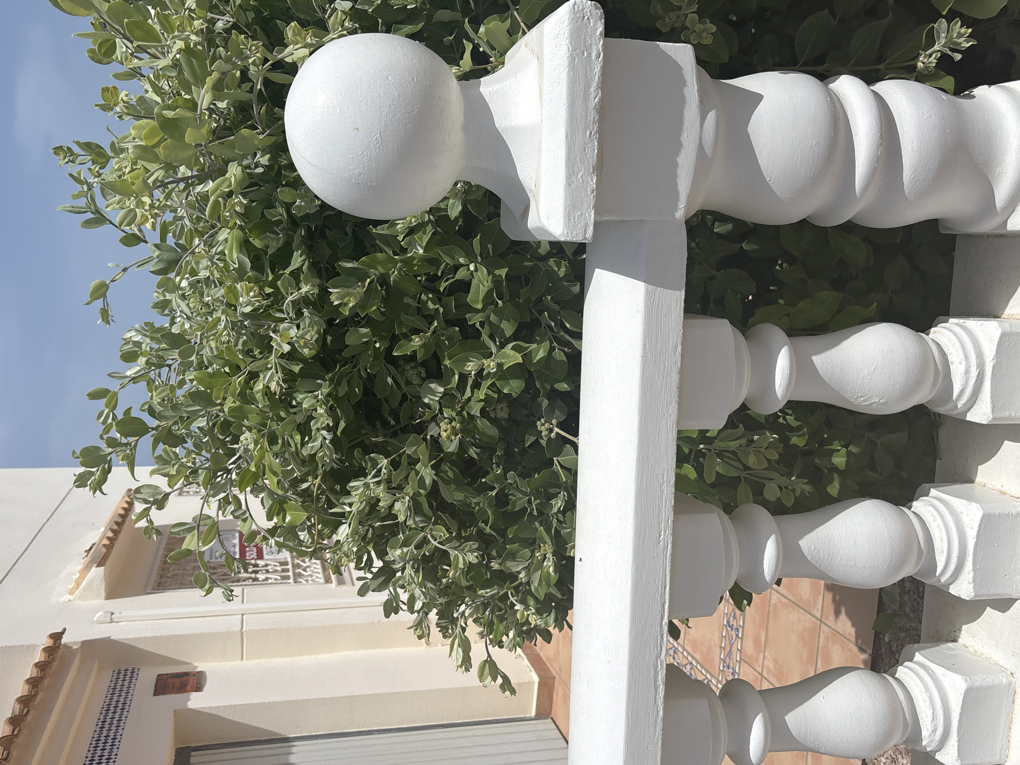 This is a close-up, vertical, outdoor shot of a white, ornate balustrade with a lush green bush behind it. The balustrade has a smooth, spherical finial at the top, followed by a square post, and then several decorative, rounded elements that make up the railing. The railing extends horizontally across the frame, with more rounded balusters visible below. The bush behind the balustrade is dense and leafy, with small, light-colored blossoms or buds interspersed among the leaves. The sunlight suggests it is daytime, and the clear blue sky visible at the top left indicates fair weather.
In the background, a cream-colored building is partially visible. Architectural details of the building include terracotta roof tiles and decorative tiled patterns on the facade. A small, framed object with red text is visible on the building wall through the balustrade.
The scene appears to be a residential or garden setting, possibly a patio or balcony. The focus is on the textures and forms of the balustrade and the natural elements, with no people or specific activities depicted. The overall impression is one of a bright, sunny day in a well-maintained outdoor space. The visible text on the building is too small and indistinct to be read.