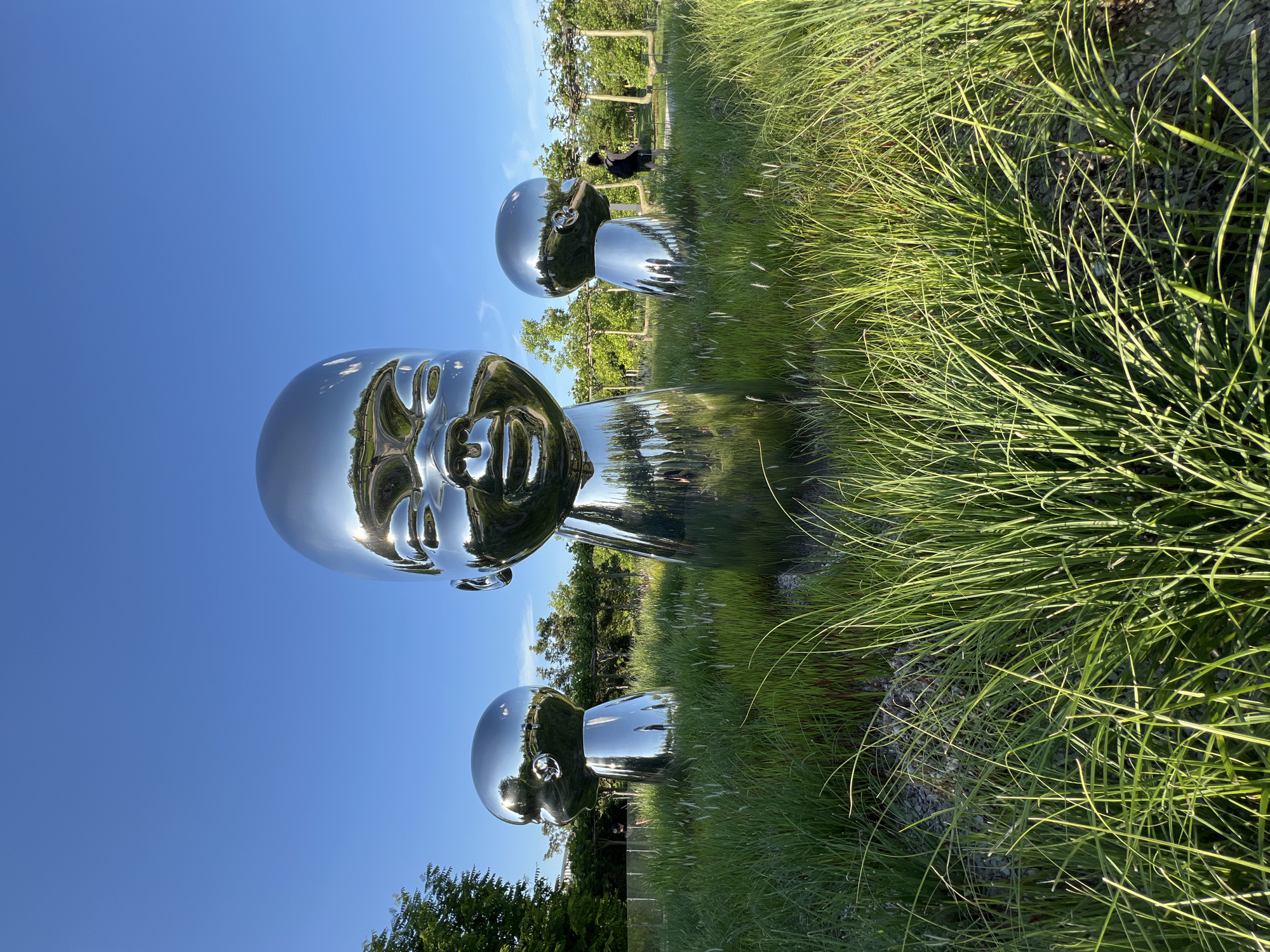 The image displays an outdoor art installation featuring three highly reflective, chrome-plated sculptures resembling abstract human heads or figures, set within a lush green landscape under a clear blue sky. The largest sculpture occupies the foreground, its polished surface brightly reflecting the sky, surrounding greenery, and a distorted view of the park. Two smaller, similar sculptures are visible further back, also exhibiting strong reflections.
A person, dressed in dark clothing, is standing in the middle ground near one of the smaller sculptures, seemingly observing the artwork or the general park environment. The ground is covered in vibrant green grass, with some areas revealing small stones or gravel beneath. Trees and foliage line the background, adding to the park-like setting. The sky is a uniform, clear blue, indicating a bright and sunny daytime.
The scene conveys a peaceful and artistic atmosphere, highlighting the interplay between modern sculpture and natural surroundings. No visible text is present in the image. The location context provided indicates this scene is in Krasnodar, Russia.