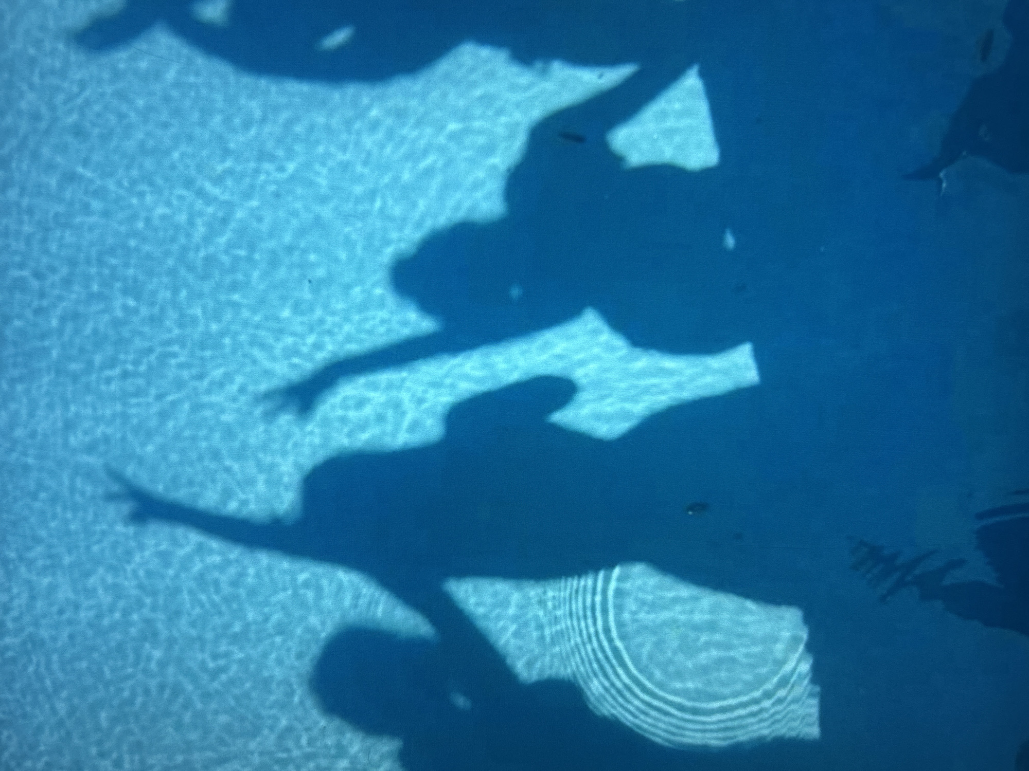 The image is a high-angle shot of shadows of people projected onto the bottom of a swimming pool. The water is a vibrant blue with sunlight refracting through it, creating dappled patterns. Several silhouetted figures are visible, appearing to be dancing or posing with their arms raised. The shadows are distinct and dark against the illuminated pool floor. There are concentric ripples visible in the lower left portion of the image, suggesting movement in the water. The environment is clearly a swimming pool, likely outdoors, given the bright sunlight. The location in the city of Knezha, Bulgaria, is not discernible from the image itself.