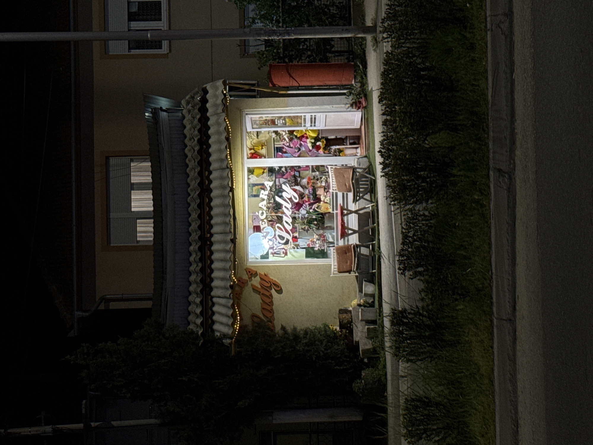 The image shows a brightly lit storefront at night, likely a flower shop, in Kragujevac, Serbia. The time of day is clearly night, with the building's interior and exterior elements illuminated against the dark street and sky.
The main subject is a single-story building housing the shop. A prominent window showcases a vibrant display of colorful bouquets, balloons, and various gift items, suggesting a florist or gift store. Above the main entrance, a reddish cylindrical object is visible. A corrugated metal awning extends over the front of the shop, decorated with string lights.
On the building's exterior wall, to the left of the main window, part of a sign is visible, prominently featuring the word "Lady" in a stylized, cursive font. Inside the brightly lit window, another sign clearly reads "Cvećara Lady," confirming it as a flower shop ("Cvećara" means florist in Serbian). Two small, dark chairs are placed outside the shop to the right of the window, possibly for display or seating.
The setting includes a dark asphalt street and a sidewalk bordered by a low, dark green hedge or bush on the right side of the image. A street light pole is visible on the left. The upper floor of the building has windows with what appear to be closed blinds or shades. No activity or people are depicted; the scene is static, focusing on the illuminated shop display. The artificial light from the shop creates a warm contrast with the dark surroundings.