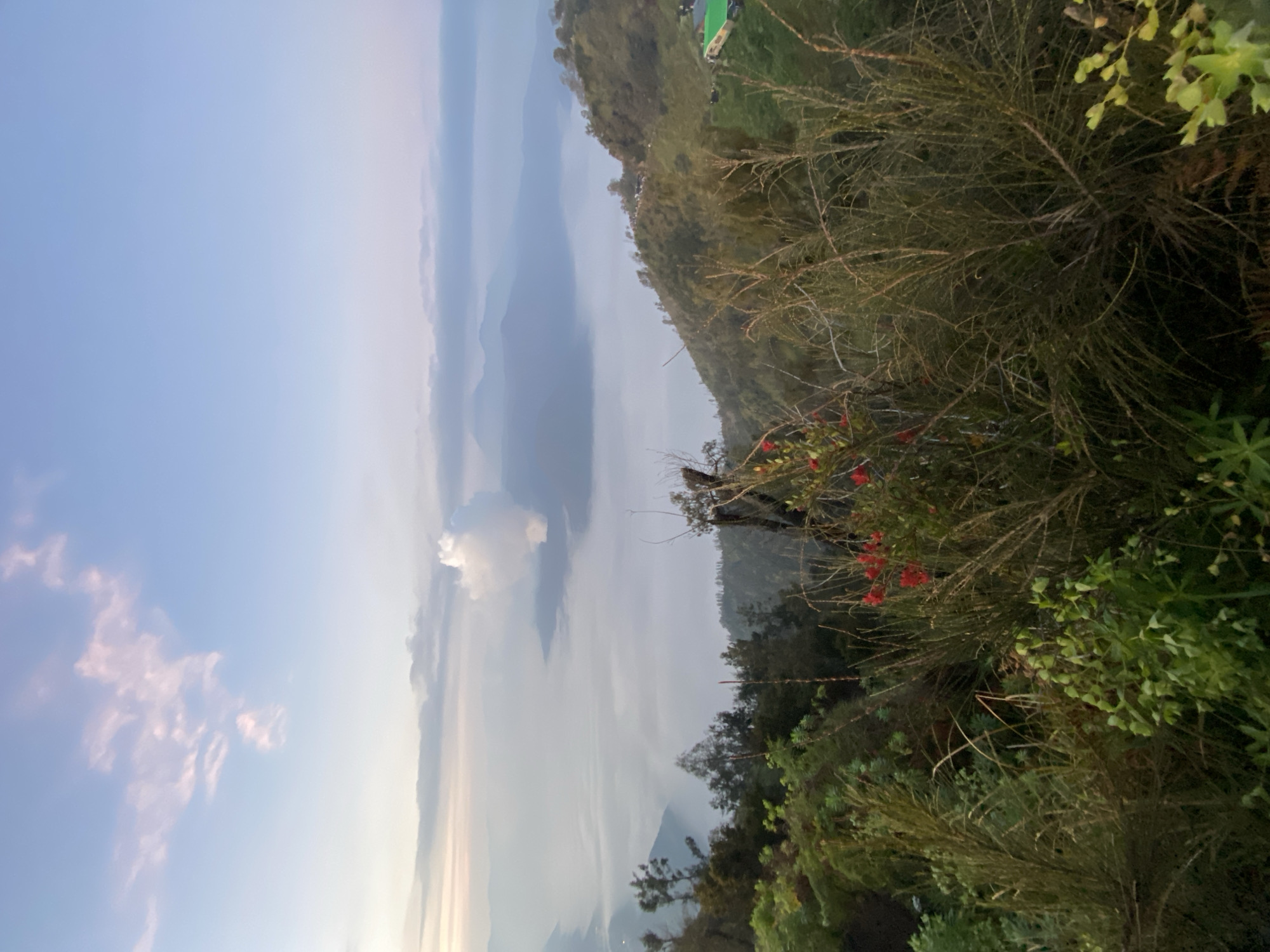 The image captures a landscape in Cemorolawang, Indonesia. In the foreground, dense green vegetation, including shrubs and small trees, frames the view. A bush with red flowers adds a spot of color. In the midground, a mountain range is partially obscured by a layer of mist or fog, creating a hazy effect. The sky above transitions from a pale blue near the horizon to a clearer blue higher up, with wisps of clouds scattered throughout. The photograph appears to be taken from an elevated vantage point. The scene conveys a sense of tranquility and natural beauty, typical of mountainous regions.