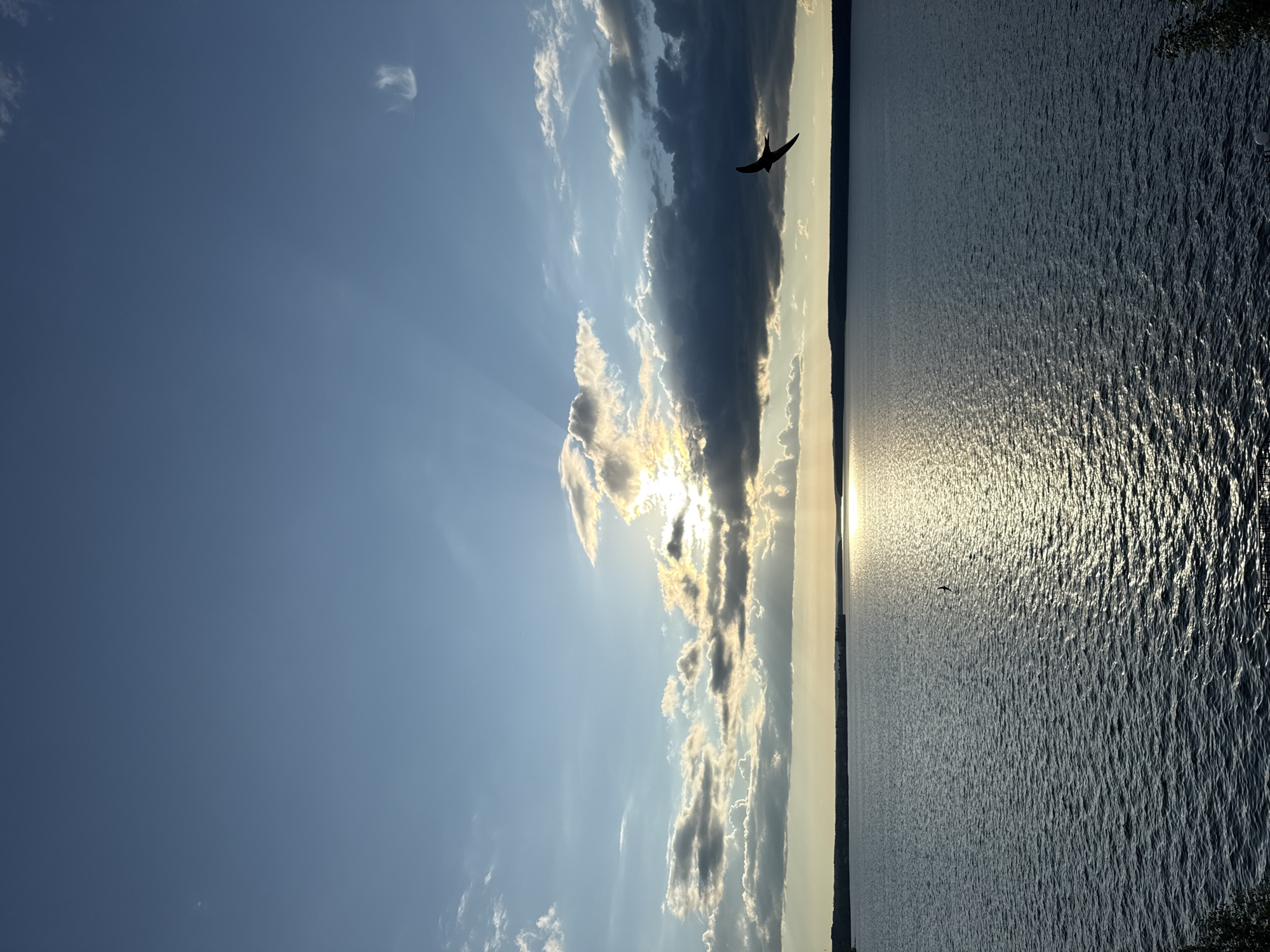This is a photograph of a large body of water, likely a reservoir, under a dynamic sky. The sun is setting or rising, casting a warm glow on the water's surface and breaking through a band of dark clouds with rays of light. A silhouetted bird is in flight in the upper right quadrant of the image. The distant shoreline is visible as a dark, low-lying line with some vegetation. The water is rippled, suggesting a gentle breeze. The overall scene evokes a sense of natural beauty and tranquility. The location is the Votkinskoye Reservoir in Votkinsk, Russia, a popular recreational area.
