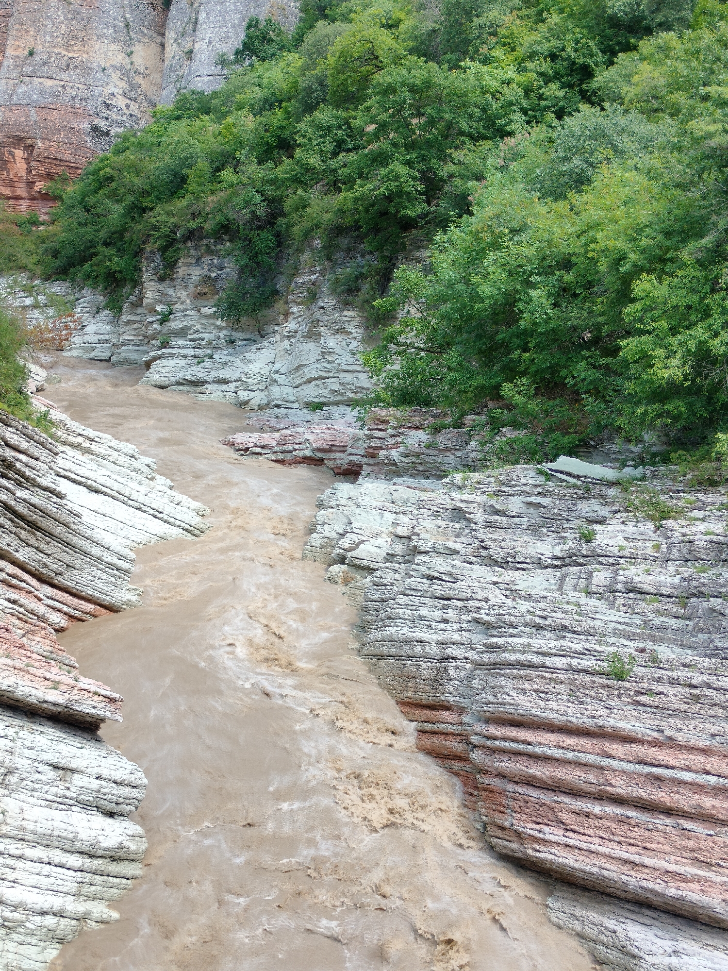 The image shows a muddy river flowing through a canyon with layered rock formations. Lush green trees grow on the upper slopes of the canyon. The rock layers are predominantly white and light gray, with some reddish-brown bands visible. The river's water is opaque and brown, indicating it is carrying a significant amount of sediment. The scene appears to be a natural landscape, possibly a gorge or a canyon carved by the river over time. The location is specified as being in the city of Madzhalis, Russia.