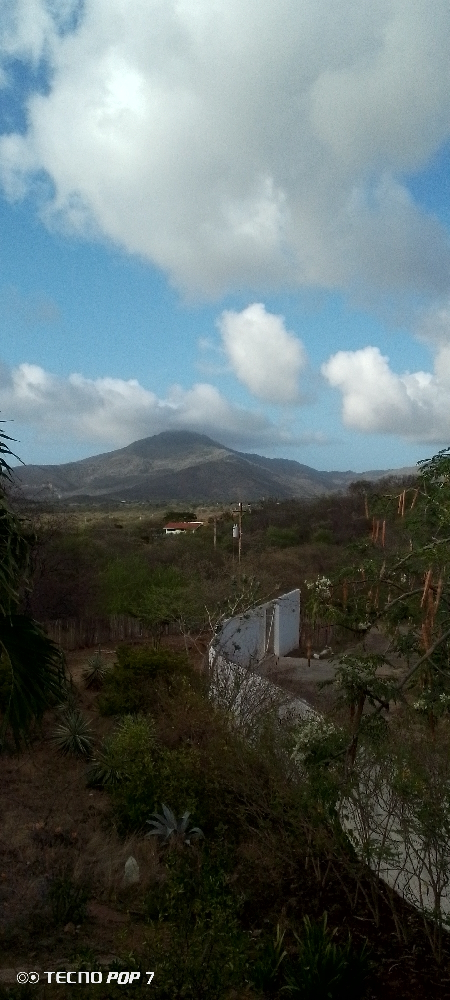This is a vertical, medium-angle, outdoor photograph of a rural landscape. In the distance, a large mountain dominates the scene, its peak partially obscured by clouds. The sky is a clear blue with scattered white cumulus clouds. The middle ground is characterized by rolling hills covered in dense vegetation and trees. A small white building with a red-tiled roof is visible amidst the trees, along with a utility pole. The foreground features a variety of plants, including agave-like succulents and dry grasses. A partially constructed white wall is also present in the foreground, with branches of a leafy tree extending into the frame from the right. The lighting suggests it is daytime, likely with overcast conditions contributing to the muted colors and soft shadows. The bottom left corner of the image displays the watermark "TECNO POP 7." No people are visible in the image.