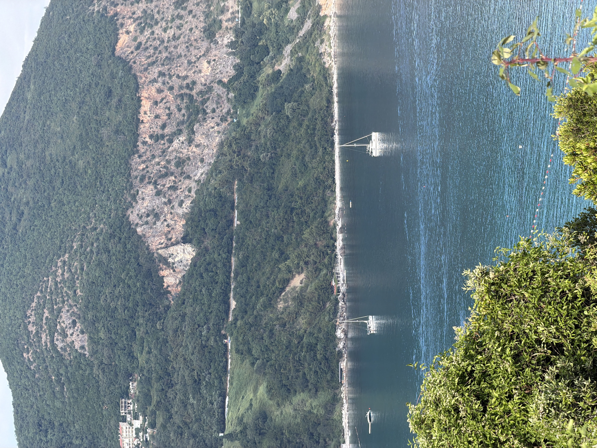 The image depicts a scenic view of a coastline with a mountainous backdrop and calm blue water. The scene is dominated by lush green vegetation covering the steep slopes of the mountain, interspersed with rocky outcrops. A road or path is visible winding along the mountainside.
In the foreground, the water's surface is calm, with reflections of the sky and surrounding elements. A white sailboat with its mast is anchored in the water. Further out, a string of small buoys or markers stretches across the water, suggesting a designated area or possibly a decorative element. The shoreline appears rocky and lined with some structures, possibly small buildings or piers. On the left side of the image, a cluster of white buildings is nestled at the base of the mountain, indicating a small settlement or village.
The lighting suggests it is daytime, with sunlight illuminating the scene and creating reflections on the water. The weather appears to be pleasant and clear. A large, leafy green tree occupies the right side of the frame, partially obscuring the view of the water and adding to the natural beauty of the setting. The overall atmosphere is serene and picturesque, characteristic of a coastal landscape. There are no visible people or text in the image. The location context provided is Dubraljevina, Montenegro, which aligns with the described coastal and mountainous environment.