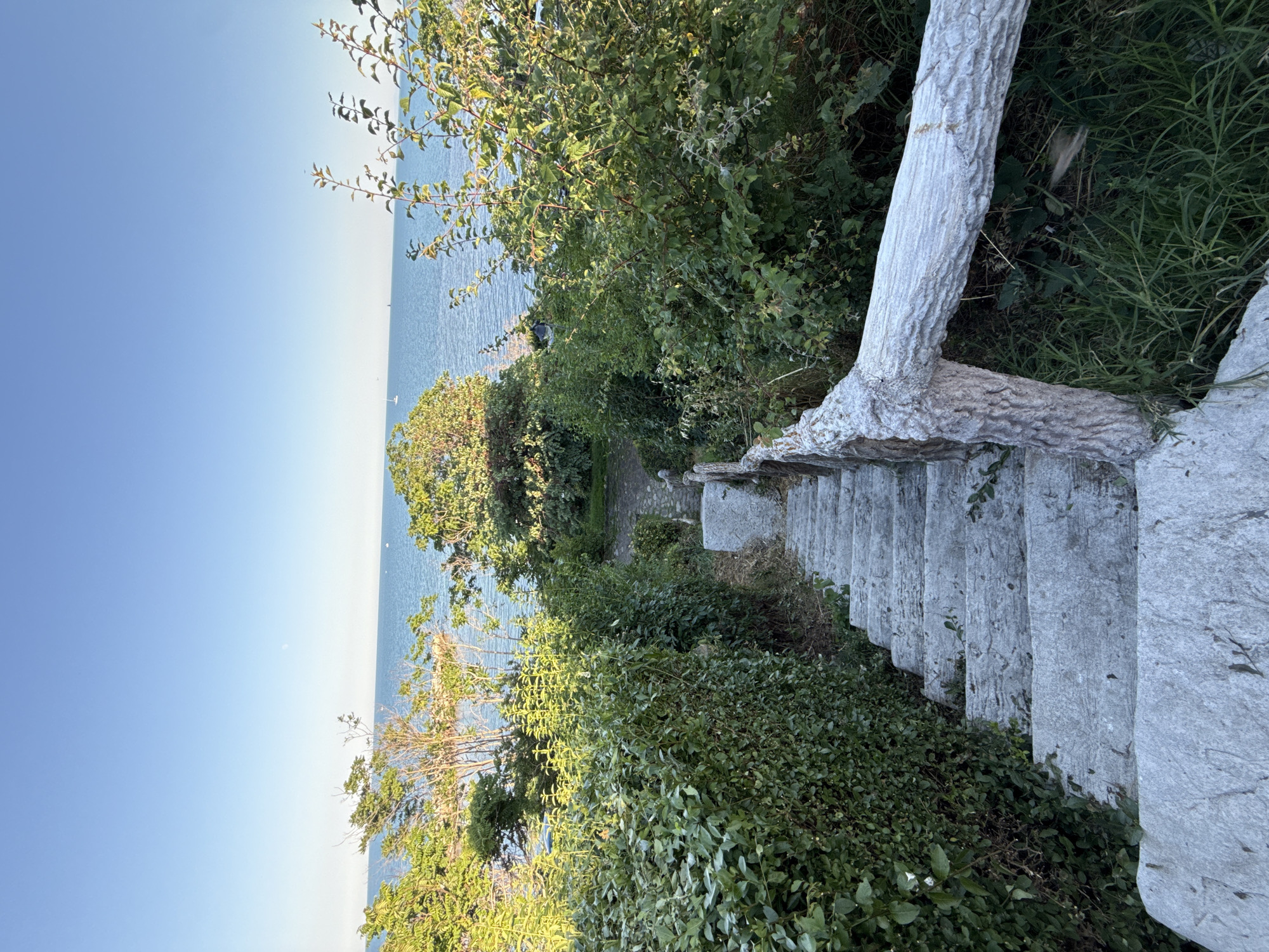 The image shows a set of stone stairs descending from a grassy area with dense green foliage and trees towards a body of water. The water, appearing to be the sea, is a clear blue and stretches to the horizon. The sky is a vibrant, clear blue, suggesting a sunny day. The stairs are made of rough-hewn stone blocks, and a thick, light-colored tree trunk or large branch runs along the right side of the stairs, acting as a railing. The foliage on either side of the stairs is lush and varied, with some trees having lighter green leaves and others darker.
The scene appears to be a pathway leading down to the water, possibly in a park or garden area. The orientation of the image is portrait with the top of the image showing the sky and the sea. The lighting suggests it is daytime, likely morning or afternoon, with the sun casting gentle light. There are no people visible in the image, and no specific event is taking place. The location context of Nesebar, Bulgaria, is not directly evident from visual cues within the image itself, but implies a coastal setting. The overall mood of the image is peaceful and natural, highlighting the beauty of the coastal landscape. There is no visible text in the image.