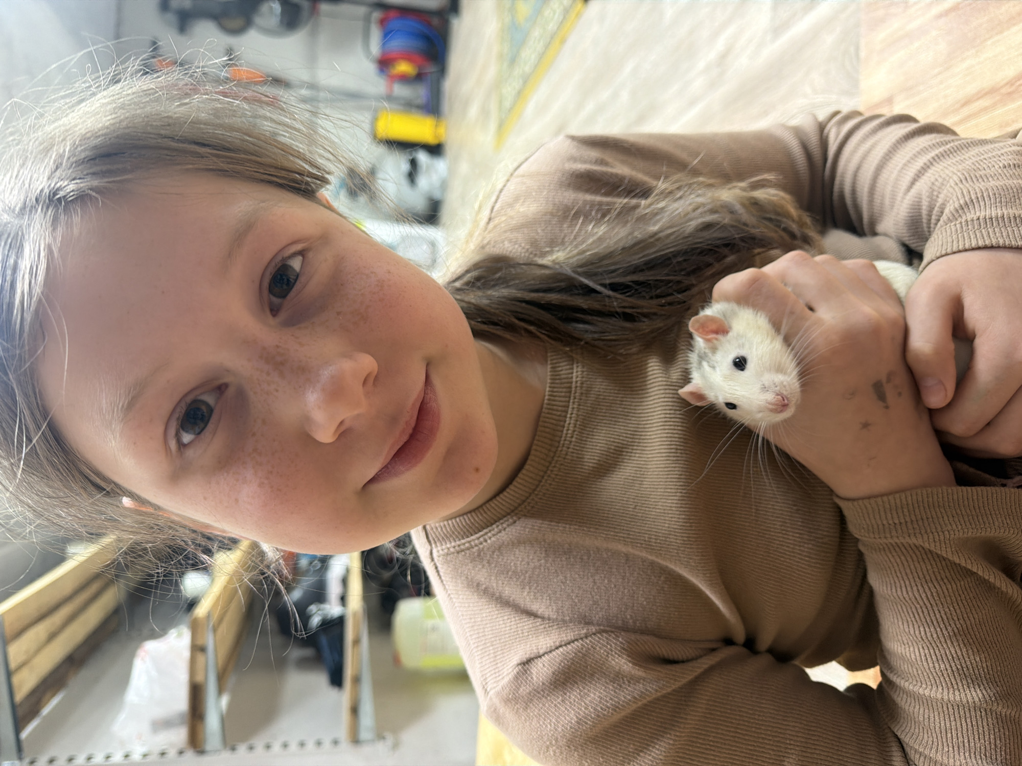A fair-skinned, light-haired child with freckles is holding a white rat. The child is wearing a long-sleeved brown shirt. The background is blurry, but appears to be an indoor setting, possibly a home or garage with various tools and objects visible. The specific location cannot be determined from the image.