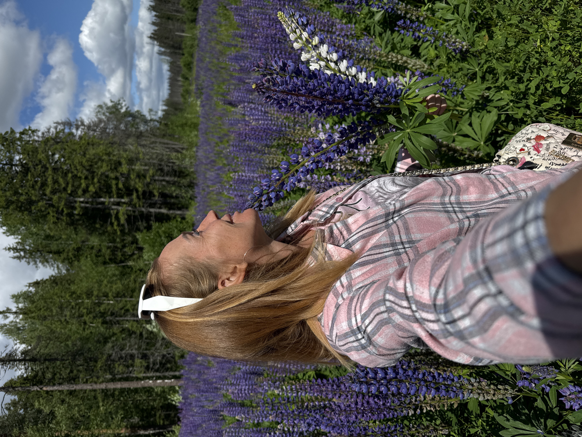 A woman with blonde hair pulled back with a white headband is standing in a field of purple lupine flowers. She is wearing a pink and grey plaid shirt and a small, decorated purse with a chain strap. In her right hand, she is holding a bouquet of lupine flowers, some of which are purple and some are white. She is looking to her right, smiling, with her head tilted back slightly. Behind her, a dense forest of green trees stretches into the distance. The sky above is blue with scattered white clouds. The scene appears to be outdoors in a natural setting.