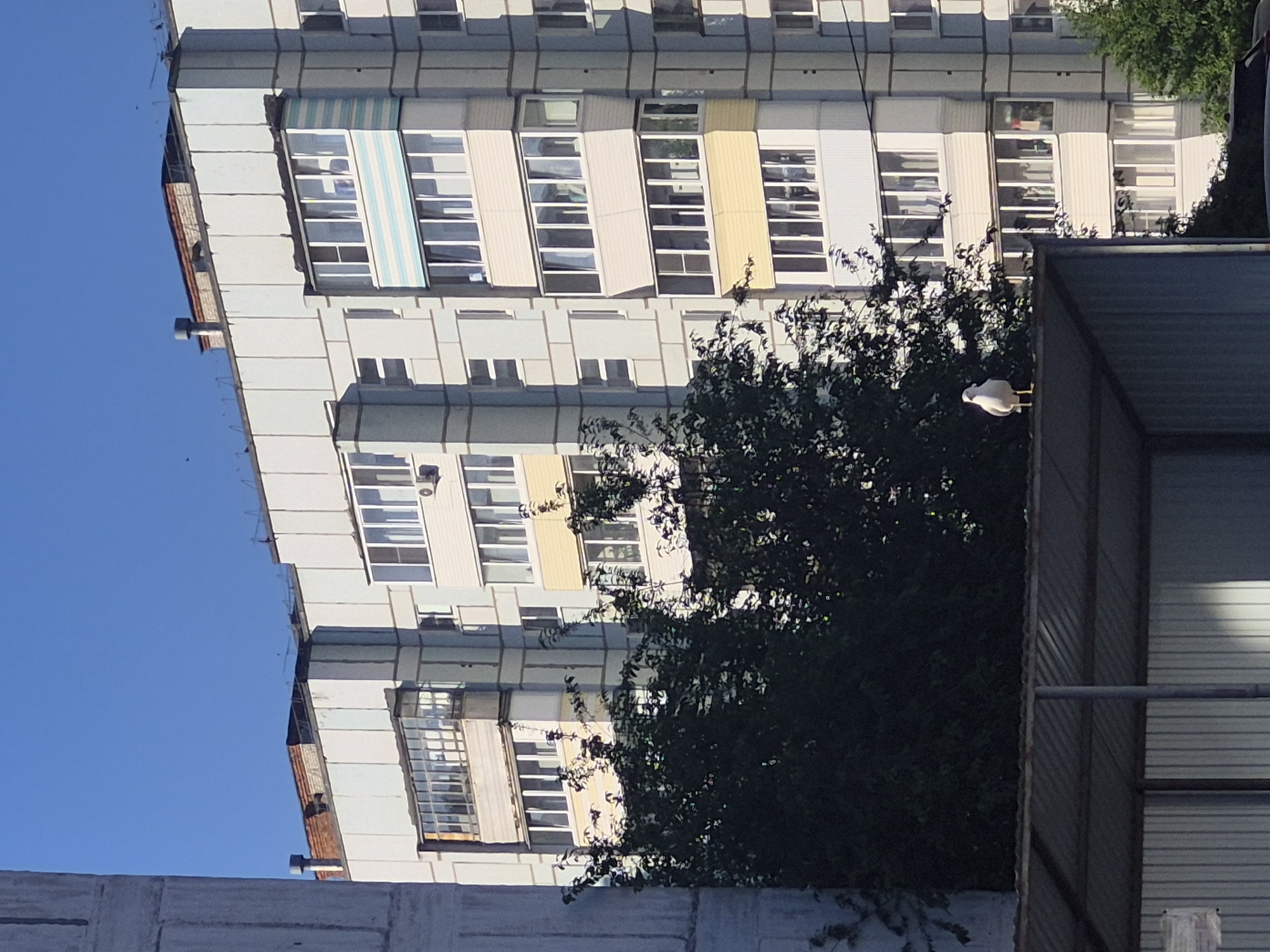 A seagull stands on the edge of a grey metal structure in the foreground. Behind it is a dense green tree. Further back, a light blue, multi-story apartment building with numerous windows and balconies dominates the scene under a clear blue sky. The building features various colored accents on some balconies, including light blue and yellow. The overall setting suggests an urban environment.
