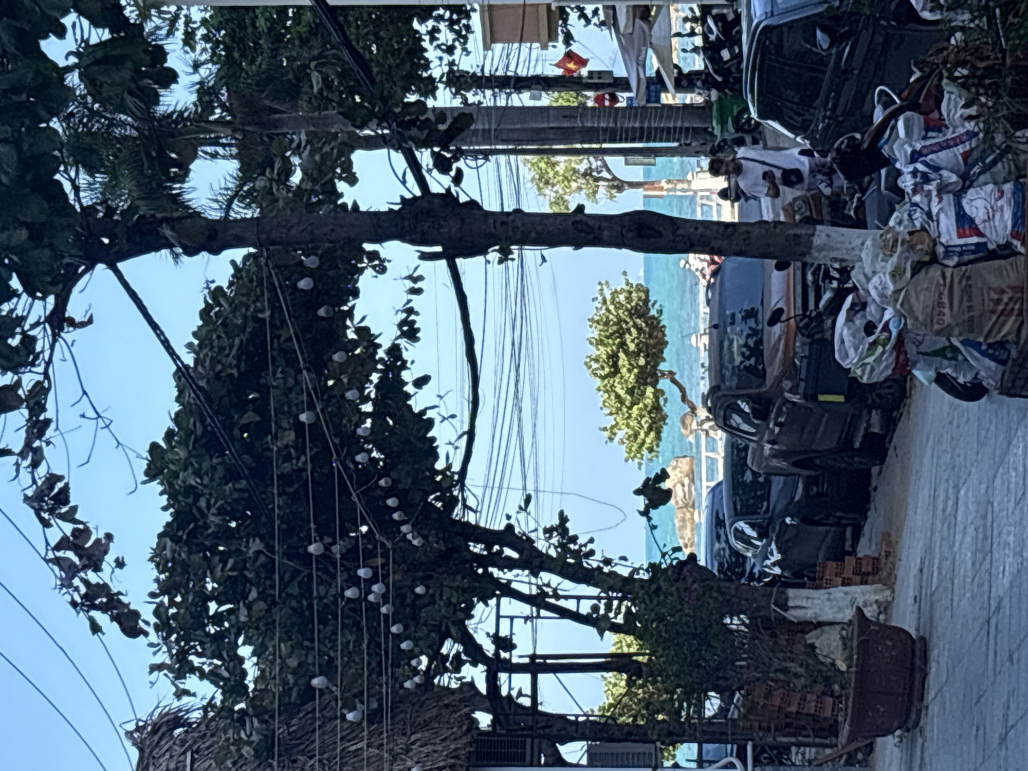 The image captures a narrow street scene in Bac Nha Trang Ward, Vietnam. Tall trees with dense foliage line the street, partially obscuring the view. Electrical wires are strung across the street. In the background, the turquoise ocean can be seen. Vehicles, including cars and motorbikes, are parked along the right side of the street. Bags and sacks are piled up near the parked vehicles. A few people are seen standing near the vehicles. The street pavement is visible.