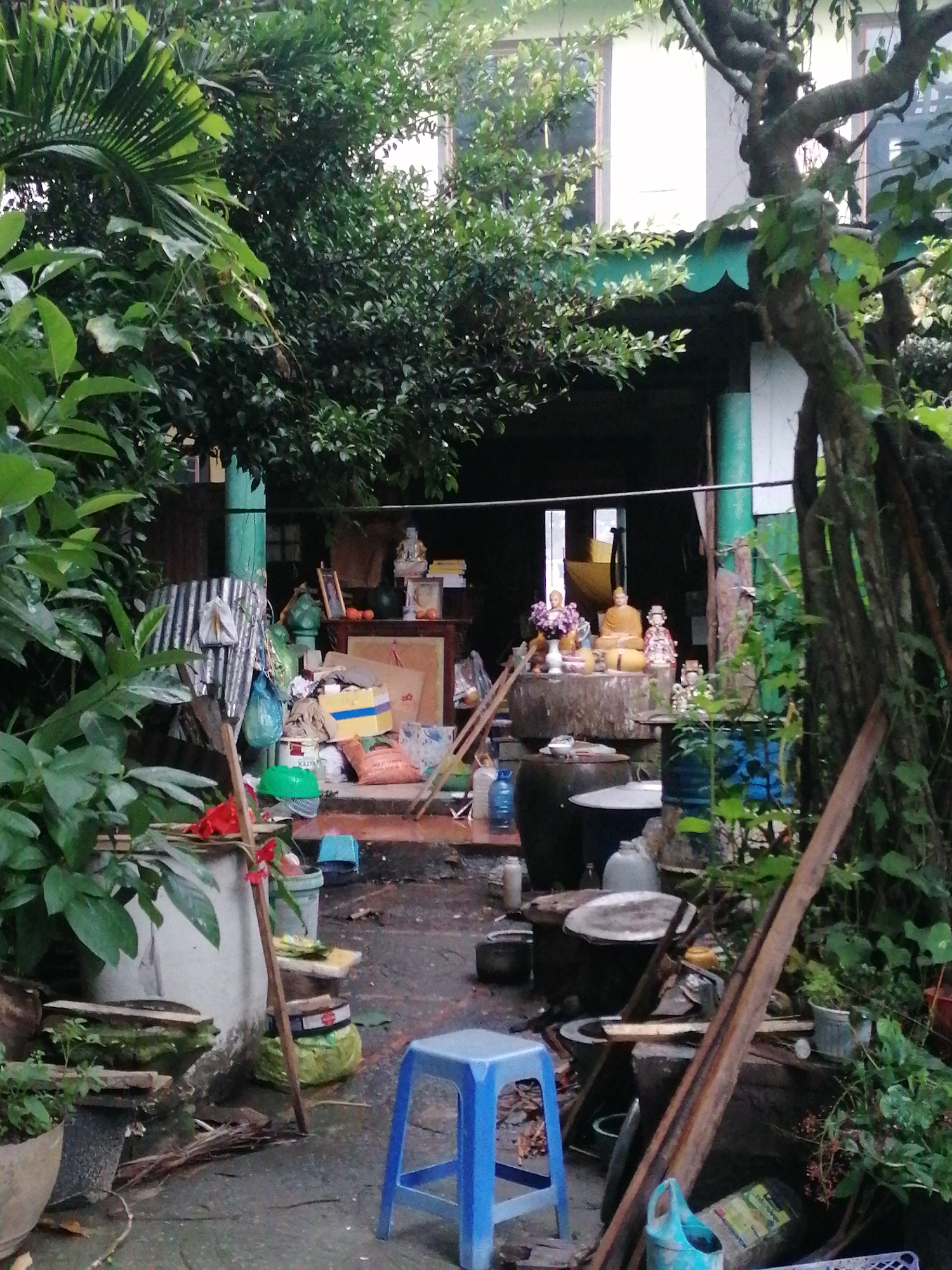 This media file depicts a cluttered, verdant outdoor or semi-outdoor area, likely a backyard or courtyard of a residence in Da Lat, Vietnam. The scene is characterized by dense tropical foliage, including prominent palm fronds and trees with thick, gnarled branches, all in various shades of green.
No people are visible in the image. The area serves as a functional, lived-in space, blending elements of storage, utility, and spiritual devotion. Under a green-trimmed roof overhang of a white building, an informal shrine or altar is set up. This altar features at least two Buddha statues—one golden and another lighter-colored—alongside smaller figurines and a vase containing purple flowers. Offerings, including what appear to be watermelons and other fruits, are placed near the statues.
The ground, which seems to be concrete or paved, is damp in sections, suggesting recent rainfall or high humidity. The space is filled with a variety of household and storage items: corrugated metal sheets, numerous plastic bags (blue and green), cardboard boxes (one distinctively yellow and blue striped), an assortment of buckets (green, grey, blue), large dark ceramic or clay pots, smaller plastic containers, and wooden planks leaning against structures. A bright blue plastic stool is positioned prominently in the foreground. Other items include kitchenware like pots and lids, and a blue watering can.
The lighting suggests it is daytime, possibly overcast or during early morning/late afternoon. The setting conveys a sense of a humble, active domestic environment where daily necessities and spiritual practices are integrated within a lush natural backdrop. Visible text is minimal and mostly unreadable, though faint markings like "WATER" or "LATEX" and "5L" can be vaguely discerned on some packaging and containers.