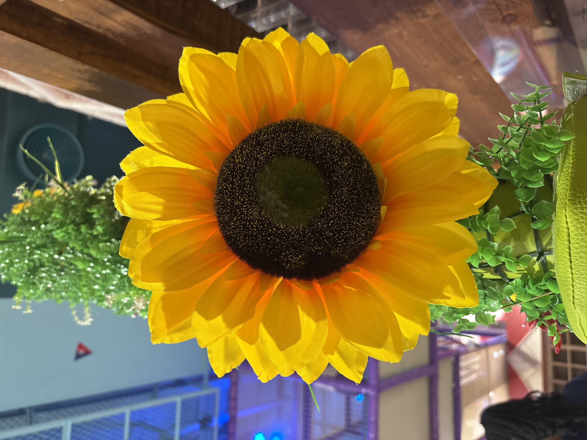 A close-up, upward-angled shot features a large, artificial sunflower as the primary subject, set against a blurred background. The sunflower's petals are a vibrant yellow, transitioning to a soft orange hue near the center, which is a dark brown and green disc. Small, green artificial leaves are intertwined with the sunflower's stem. To the right, a wooden beam is visible, and to the left, a portion of a person with dark, braided hair can be seen. The background exhibits a complex, urban environment with blue and purple lighting, possibly indicating an indoor entertainment venue or shopping mall. The presence of a small, red, white, and black triangular flag hanging in the distance suggests a possible decorative element or branding within the location. The overall scene is indoors, with artificial lighting contributing to the colorful ambiance. While the exact location in Dubai is not discernible from the image alone, the vibrant, modern aesthetic could be consistent with a family entertainment center or a themed retail space common in the city.