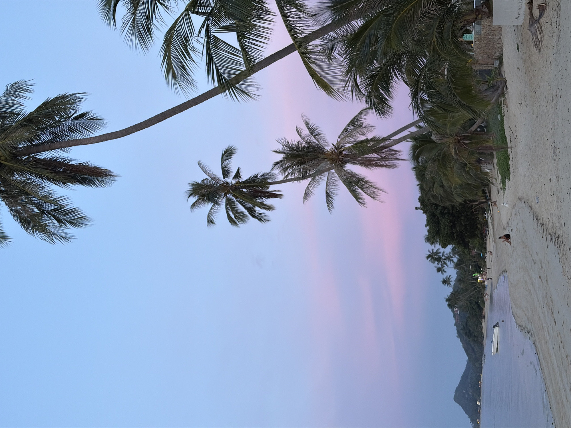 This image depicts a serene beach scene at dusk in Baan Thong Po, Thailand. The sky transitions from a clear blue at the top to soft pink and purple hues near the horizon, indicating the approaching sunset. Several palm trees with their fronds dominating the upper portion of the frame frame the scene. In the distance, lush green hills rise from the coastline, with some scattered structures visible amongst the foliage.
The beach itself is a stretch of light-colored sand, meeting a calm body of water that reflects the colors of the sky. A white boat is moored near the shore in the middle ground. Further down the beach, a few individuals are scattered, with one person seated on the sand closer to the foreground. The atmosphere is peaceful, with a sense of tranquility pervading the entire image. The vegetation along the edge of the beach suggests a tropical environment.