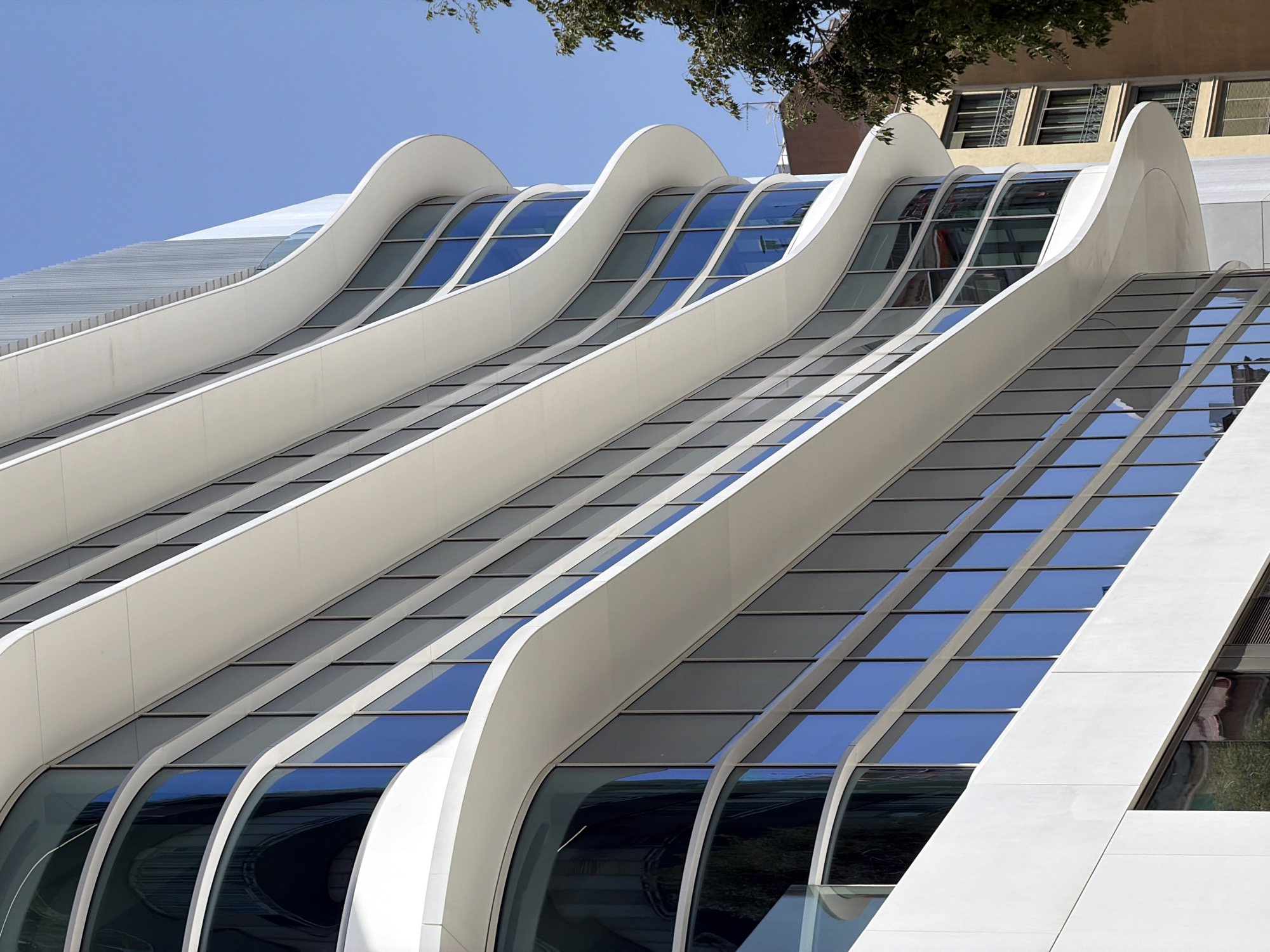 This is a close-up, low-angle exterior shot of a modern, white, curvilinear building against a clear blue sky in Barcelona, Spain. The building features multiple floors with continuous, wave-like white bands that undulate across its facade, creating a sense of movement. Behind these bands, rows of large, reflective blue windows are visible, interspersed with vertical dark mullions. The building's form is organic and flowing, with curved edges and rounded corners. To the right and background, a glimpse of an older, multi-story building with a light yellow facade, balconies, and windows can be seen, along with the dark green foliage of a tree. No people or animals are present in the frame. The image captures the architectural style of the contemporary structure, emphasizing its smooth, flowing lines and reflective glass surfaces.