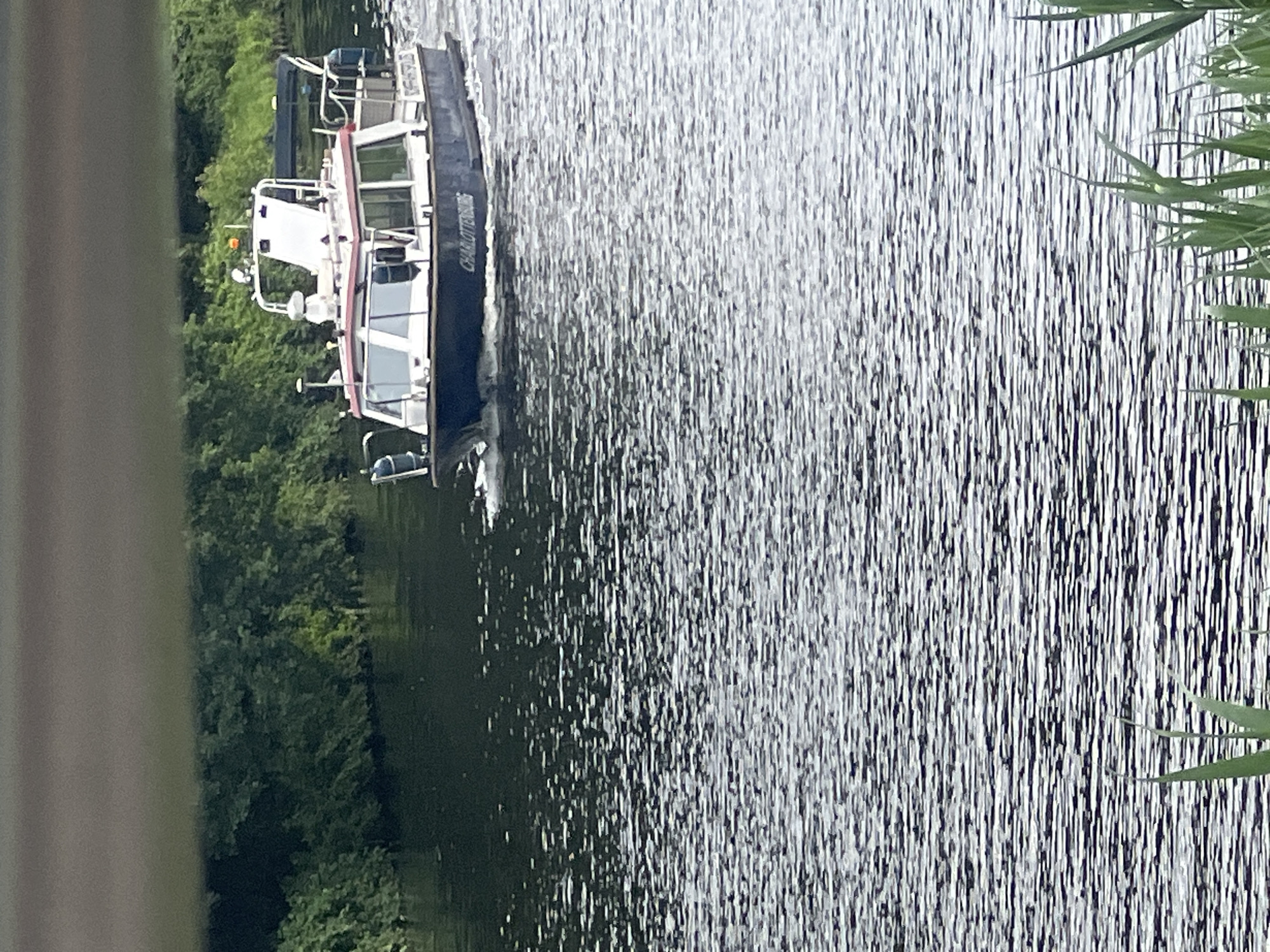A narrow, dark blue boat named "CHARLOTTENBURG" is traveling on a body of water, creating a wake. The boat has a white cabin with windows, a red trim along the roofline, and various antennas and lights on top. It appears to be a passenger or tour boat. The boat is positioned in the middle right of the frame. The water is dark and rippled, reflecting the overcast sky. Dense green foliage lines the far bank of the water. In the foreground, the tips of green plants are visible, partially obscuring the lower part of the image. The scene is captured from a slightly elevated perspective, possibly from a bridge or embankment. The location is the Teltow Canal in Teltow, Germany.