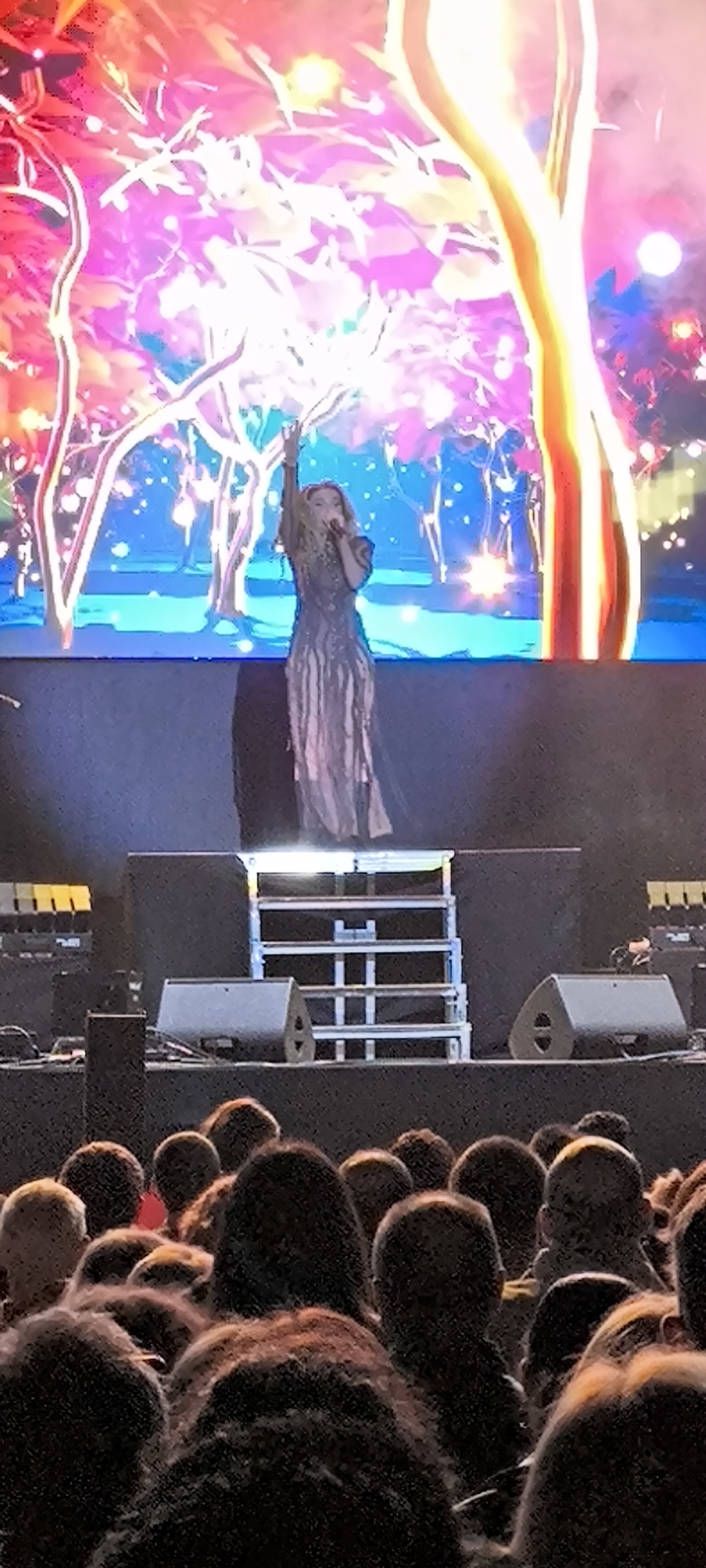 Captured in Cerdanyola Del Vallès, Spain, the image shows a female singer performing on a stage with a vibrant, colorful backdrop resembling illuminated trees. She wears a long, dark, shimmering dress and has one arm raised in the air. The stage is equipped with speakers and a metal staircase. In the foreground, the heads and upper bodies of an audience are visible, indicating a live concert or performance. The lighting and stage setup suggest a professional concert environment.