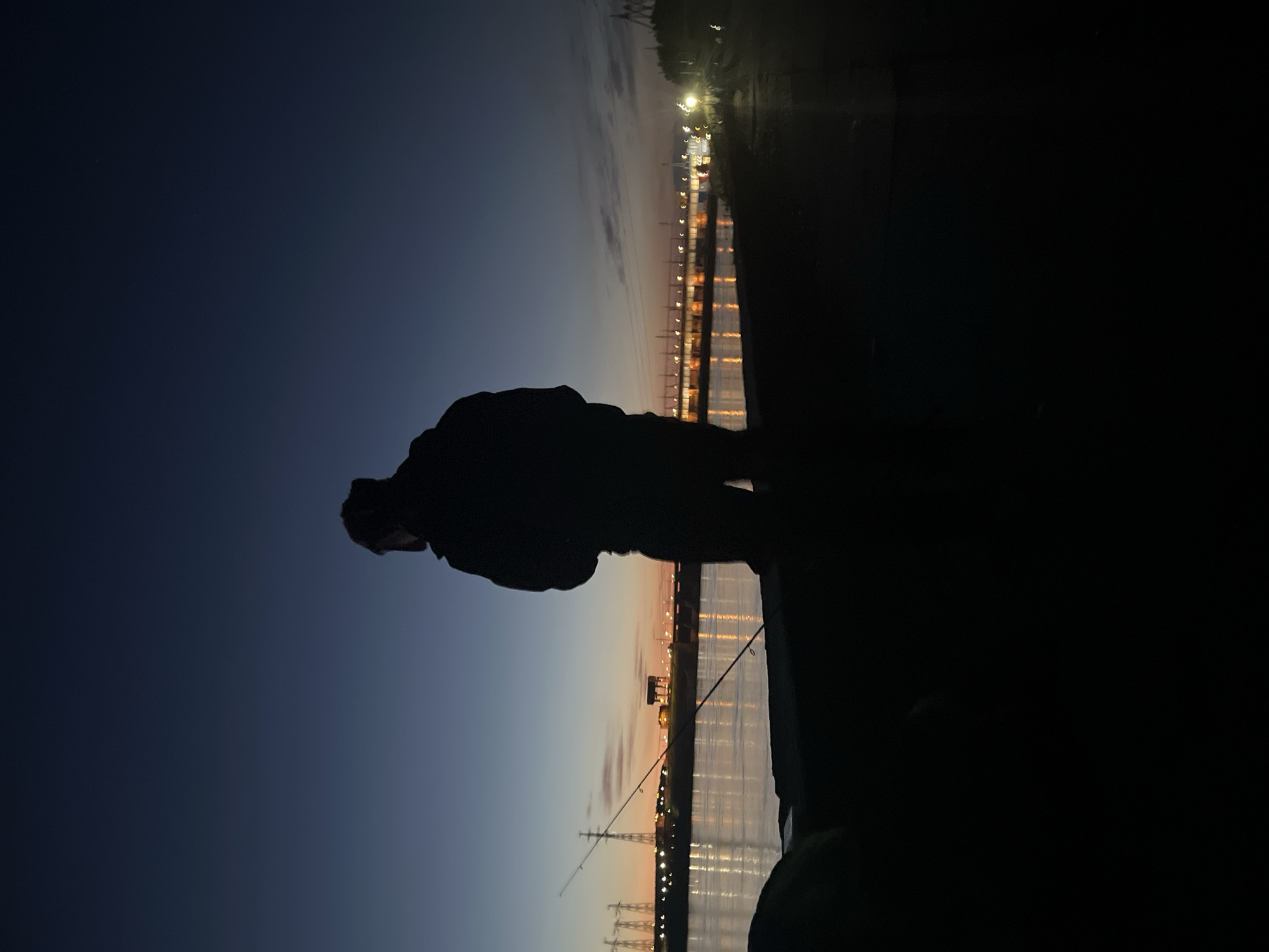 The image, when viewed in correct orientation, captures a twilight scene of a person fishing by a body of water, likely in Noviy, Russia. The sky presents a gradient of colors, transitioning from a deep indigo blue at the top to a softer orange and pink closer to the horizon, indicating either dusk or dawn.
A lone figure, rendered entirely in silhouette, is positioned in the foreground, facing towards the water. The person appears to be wearing a jacket or hooded garment, and a fishing rod extends from their position towards the water, suggesting they are actively fishing.
Along the distant shoreline, a line of numerous artificial lights from an urban or industrial area creates bright reflections on the calm surface of the water. These lights hint at structures such as buildings or a bridge in the distance. Further out, against the lighter part of the horizon, indistinct silhouettes of what appear to be industrial towers or power lines can be seen. The immediate foreground around the person is cast in deep shadow, almost black, enhancing the silhouetted effect. The overall mood is tranquil and contemplative, with the quiet activity set against a colorful, darkening sky. No visible text is present in the image.