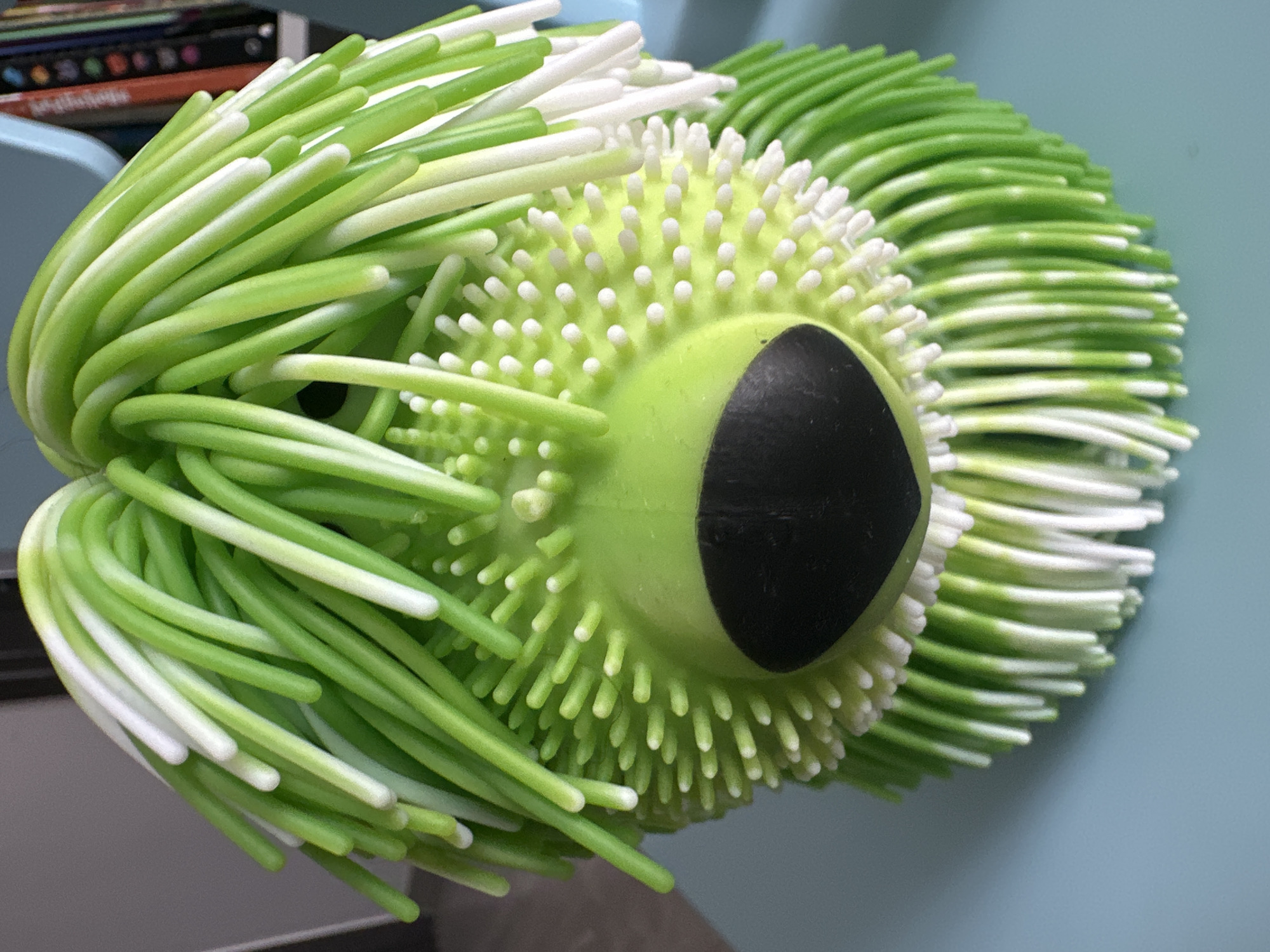 The image shows a close-up, eye-level, indoor shot of a green, bristly toy, resembling a hedgehog or a dog. The toy has a round green body with a prominent black oval nose and numerous white spiky protrusions. The top of the toy is adorned with long, flexible green and white strands that arch upwards, creating a spiky mane. The toy is positioned on a light blue surface. In the background, out of focus, is a bookshelf filled with books. The lighting is bright and appears to be natural, casting subtle shadows. The image does not provide any information about its location within a city.