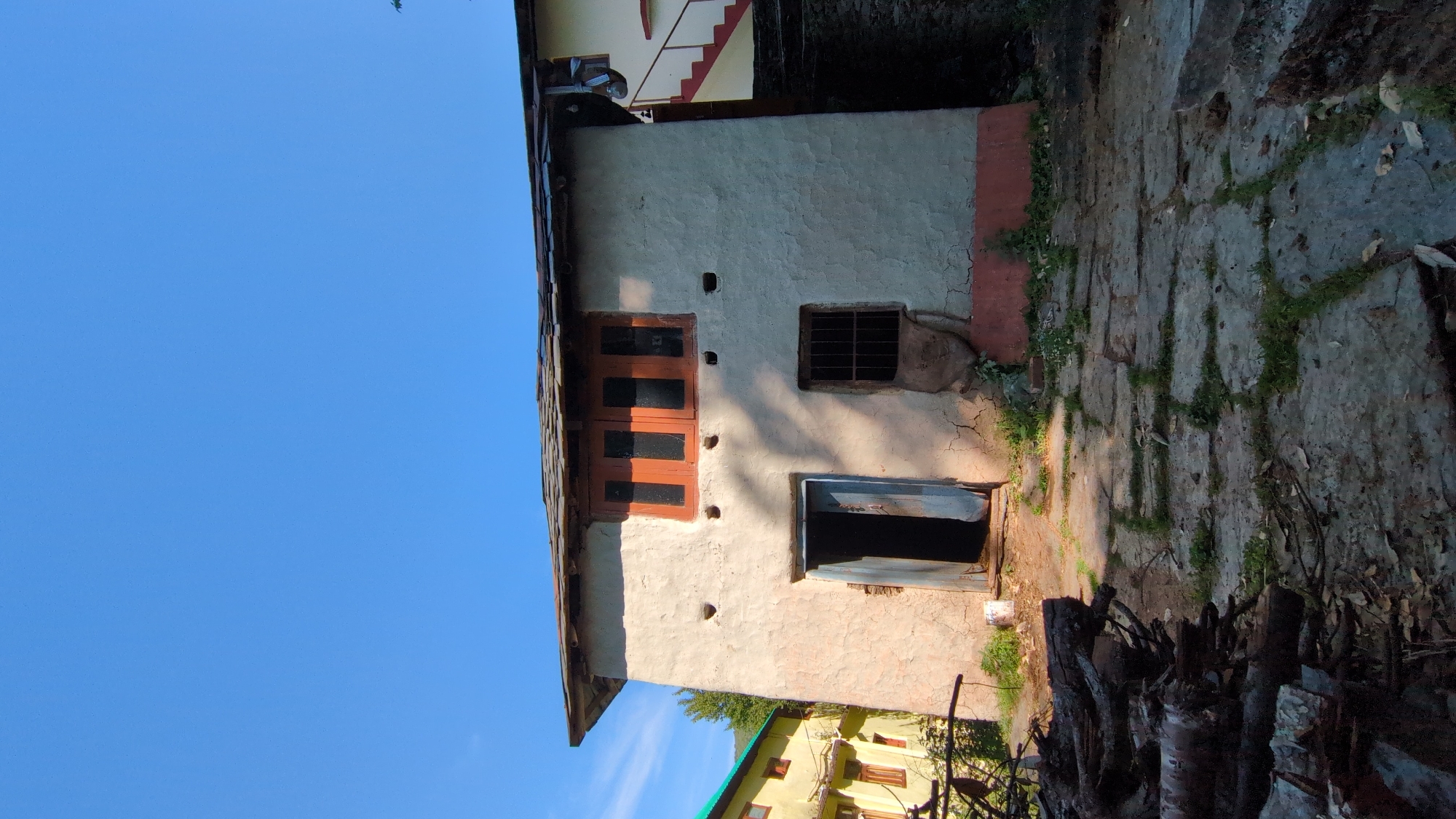 The image displays a rustic architectural scene, likely set in a rural or semi-urban area of Haini, India, under a clear, bright blue sky.
The primary subject is a simple, single-story building with textured, light-colored walls, possibly off-white or light beige, exhibiting some cracks and a reddish-brown base along the bottom. It features a prominent wooden door with multiple panels, painted in a reddish-brown hue. To the right of the door, there's a smaller window with metal bars. Further right, a dark, partially open entrance or door is visible at ground level.
In the upper background, another building with a yellow facade and red-colored stairs can be seen. A glimpse of a third building with a green roof is visible towards the lower left. The ground in the foreground consists of irregular stone paving slabs with green grass growing in the cracks, suggesting a somewhat unkempt path or courtyard. A pile of chopped wood or branches occupies the lower right corner, indicating a practical aspect of the daily life in the area.
The scene is bathed in natural daylight, indicating either morning or late afternoon, given the clear shadows cast by the buildings. The sky is expansive and cloudless, suggesting fair weather. There are no people visible, and no specific activity is taking place, lending a quiet and still atmosphere to the image. No visible text is present in the frame.
