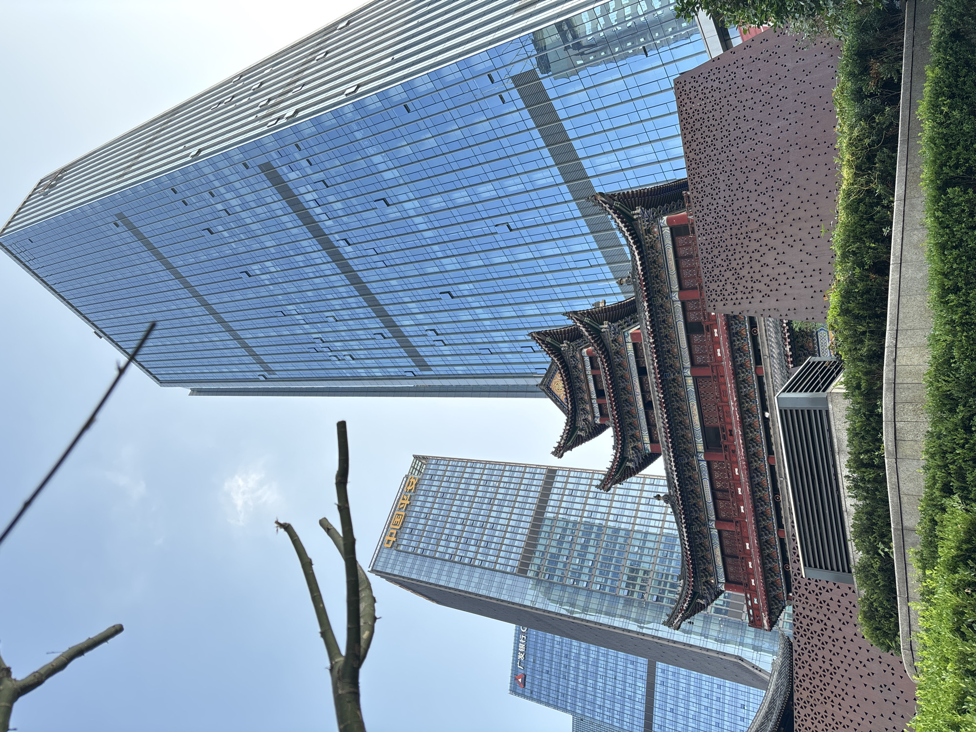 This media file features a modern cityscape with a blend of architectural styles in Yuzhong District, China. Dominating the frame is a very tall, sleek skyscraper with a glass facade that reflects the clear blue sky. The building's surface is horizontally striped with lighter-colored bands, and numerous small windows are visible.
In contrast to the modern skyscraper, a traditional Chinese-style building with a multi-tiered, curved roof in shades of red, black, and gold is nestled beside it. This building has intricate decorative details and appears to be an older structure integrated into the contemporary urban environment. Adjacent to this is a brown facade with a repeating pattern of small triangular perforations, creating a textured appearance. Lush green trees and foliage are visible along the right side of the image, adding a touch of nature to the urban scene.
The perspective is from a low angle, looking upwards towards the sky and the towering buildings. The clear blue sky suggests a daytime scene, likely on a sunny day. Bare tree branches are also visible in the foreground, reaching towards the sky, adding a slightly stark element against the backdrop of modern architecture.
The skyscraper on the left has a logo at its top, but it is difficult to discern clearly. Another skyscraper in the middle ground features prominent yellow text that reads "中国平安" (China Ping An). Below this, another building has red text that appears to read "广发银行" (Guangfa Bank). The juxtaposition of ancient and modern architecture, along with the clear sky, creates a visually striking image of urban development in China. There are no people or specific activities depicted.