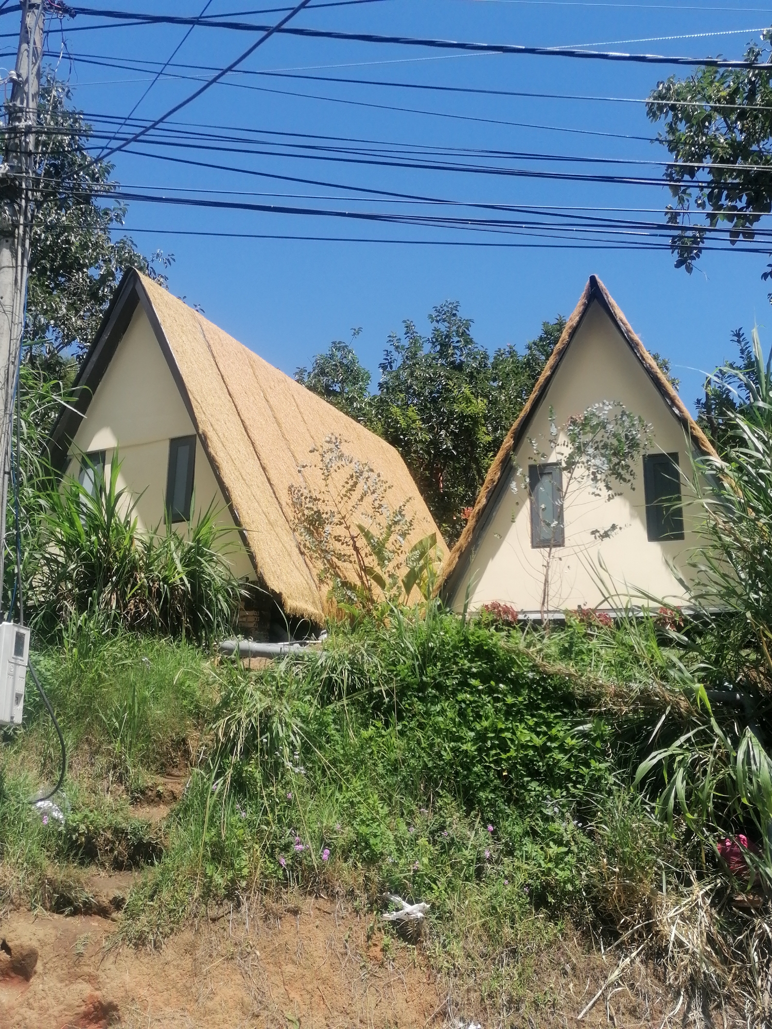 The image depicts two A-frame houses, each with a thatched roof, situated on a grassy slope. The houses are light yellow with dark triangular trim along the roof edges. One house has a thatched roof that covers the entire sloping side, while the other has a similar roof with a lighter-colored triangular front. Both houses have dark-paned windows. The foreground is filled with lush green vegetation, including tall grasses and some flowering plants. The background shows trees and a bright blue sky with numerous power lines crisscrossing overhead. The presence of overhead power lines, the style of architecture, and the tropical vegetation are consistent with many areas in Da Lat, Vietnam, a city known for its pine forests, French colonial architecture, and cooler climate. There are no people visible in the image. The scene is outdoors during daylight hours.