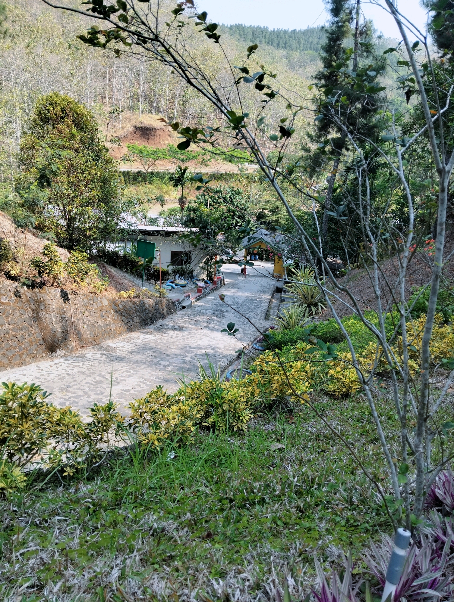The image shows a paved pathway leading to a building with a white facade and a green roof, situated in a verdant, hilly landscape. The pathway is bordered by stone walls and lush vegetation, including trees with sparse leaves and flowering plants with yellow and green foliage. In the background, a body of water is visible, beyond which lies a forested hillside. Further in the distance, more hills are visible, covered with trees and vegetation. The sky is a pale blue with a hazy atmosphere.
A small yellow building with a triangular roof is visible further down the path. Several colorful objects, possibly children's toys, are scattered near the white building. A person in a red shirt is walking near the yellow building. The overall scene suggests a tranquil, outdoor environment, likely a resort or recreational area.