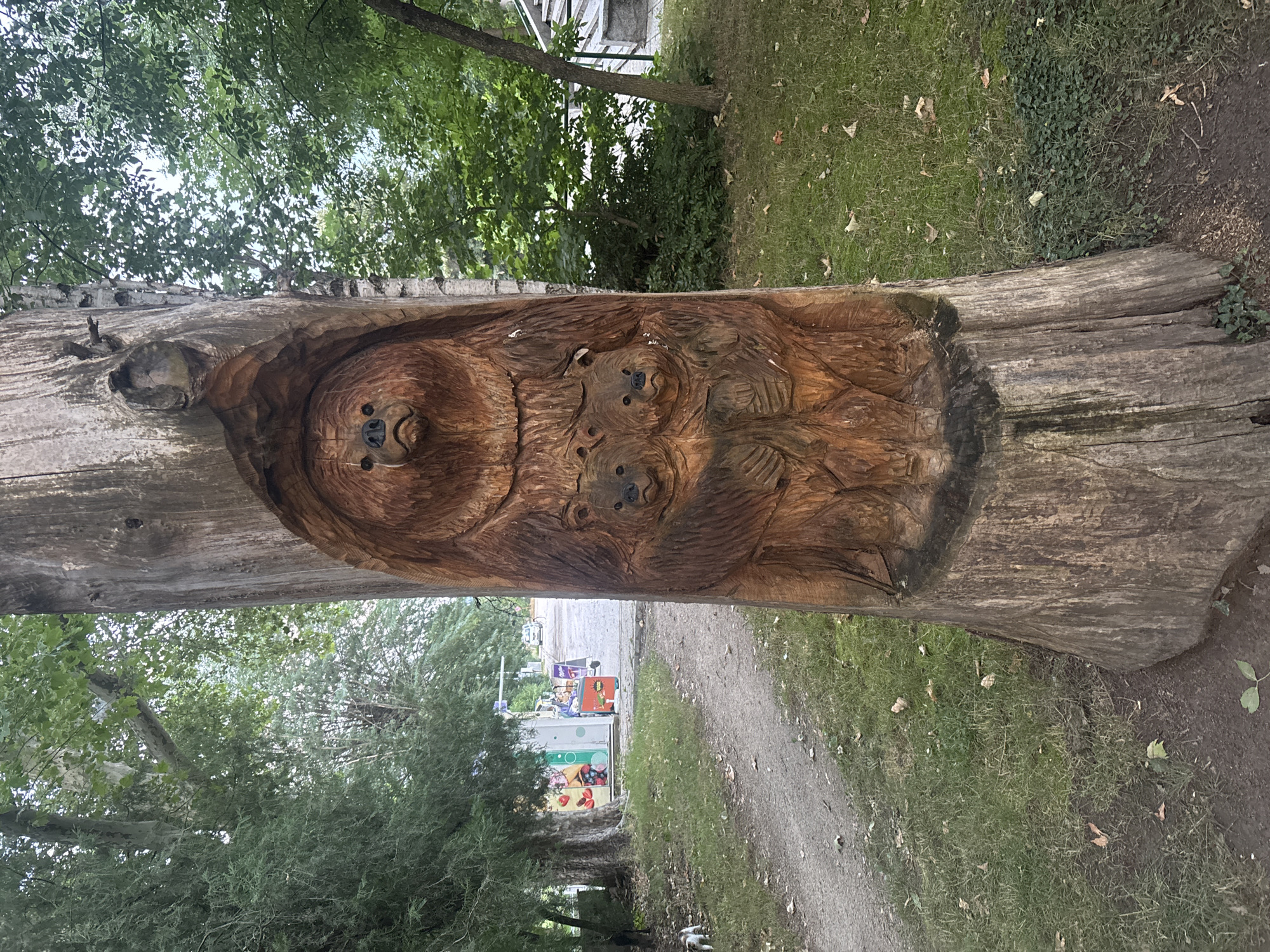 The image displays a wooden sculpture carved into a large log, which is positioned horizontally across the frame. The sculpture appears to depict a family of bears, with a larger bear face in the center and two smaller bear faces nestled beneath it. The carving is detailed, showcasing the texture of the wood and the features of the bears' faces, including their eyes, noses, and mouths.
The log is situated outdoors, surrounded by greenery. In the background, lush trees and grass suggest a park or natural setting. A dirt path is visible to the right of the log, and further in the distance, a colorful structure with graffiti or murals can be seen. This hints at a public space, possibly a playground or recreational area. The lighting suggests it is daytime, with diffused light filtering through the leaves of the trees, indicating an overcast or partly cloudy sky. The overall mood is serene and natural, with the artistic carving adding an element of whimsy to the environment. No people are clearly visible in the immediate vicinity of the sculpture. The context of Strelcha, Bulgaria, places this scene within a specific geographic location.