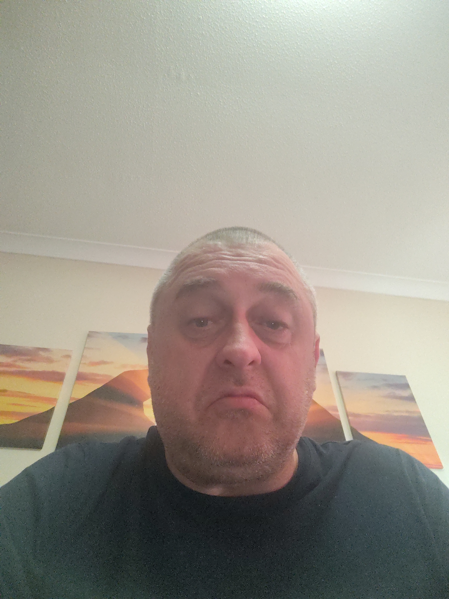 The original image is a close-up, low-angle selfie of a middle-aged man taken indoors in Huntingdonshire, United Kingdom. The man has short, greying hair, a receding hairline, and noticeable stubble on his chin and cheeks. He is looking directly at the camera with a slightly solemn expression. He wears a dark-colored (likely black or navy) crew-neck t-shirt.
The background shows a plain, light-colored wall adorned with three wall-mounted canvas prints. These prints depict a panoramic landscape scene, likely mountains or hills, under a dramatic sunrise or sunset sky with vibrant orange, yellow, and blue hues. The central print is larger, with two smaller ones symmetrically placed on either side. Above the wall, a white ceiling coving leads to a textured, off-white ceiling.
The camera's perspective is from a low angle, emphasizing the man's face and the ceiling above him. The lighting appears bright, originating from above, creating subtle shadows. There is no visible text in the image. The scene suggests a casual moment captured within a home environment.