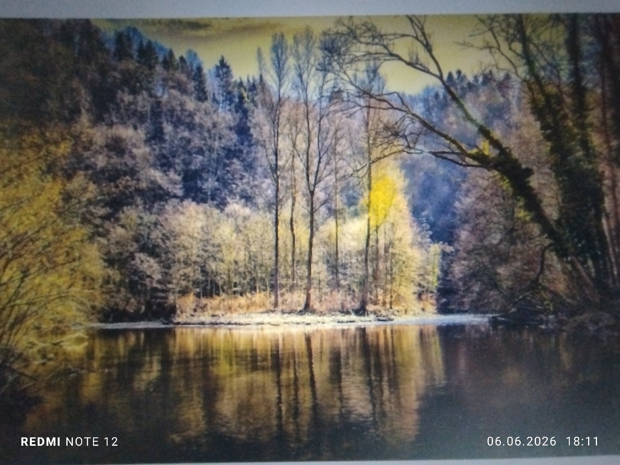 The image displays a tranquil natural landscape, featuring a still body of water, likely a river or lake, in the foreground, bordered by a dense forest under what appears to be late afternoon or early evening light. The scene's color palette is predominantly composed of muted yellows, browns, and blues.
The lower half of the image is occupied by the calm water, which vividly reflects the surrounding trees and the sky, creating a clear, inverted mirror image of the upper scene. Vertical reflections of tree trunks and broader patches of reflected foliage and sky are discernible on the water's surface.
Along the immediate shoreline, several tall, slender deciduous trees, largely devoid of leaves, stand upright, their dark trunks contrasting with the lighter background. To the left, the forest edge presents dense, yellowish-brown foliage. To the right, a prominent, gnarled tree branch extends diagonally downward from the upper right corner, overhanging the water, and appears to be covered in dark vegetation, possibly ivy or moss.
The background consists of a sprawling forest covering rolling hills. This forest exhibits a mix of tree types, with areas of bare deciduous trees and others showing light, sparse foliage, alongside darker masses indicative of coniferous trees. The sky above the forest is a light, yellowish-beige with faint blue tints.
There are no individuals, animals, or man-made structures visible within the natural setting.
Embedded text in the bottom left corner indicates "REDMI NOTE 12", identifying the capture device. The bottom right corner displays "06.06.2026 18:11", providing the date and time of capture.
While the image depicts a natural landscape consistent with many forested lake or river environments, there are no specific visual cues or landmarks within the frame to definitively identify the location as Burgas, Bulgaria.
