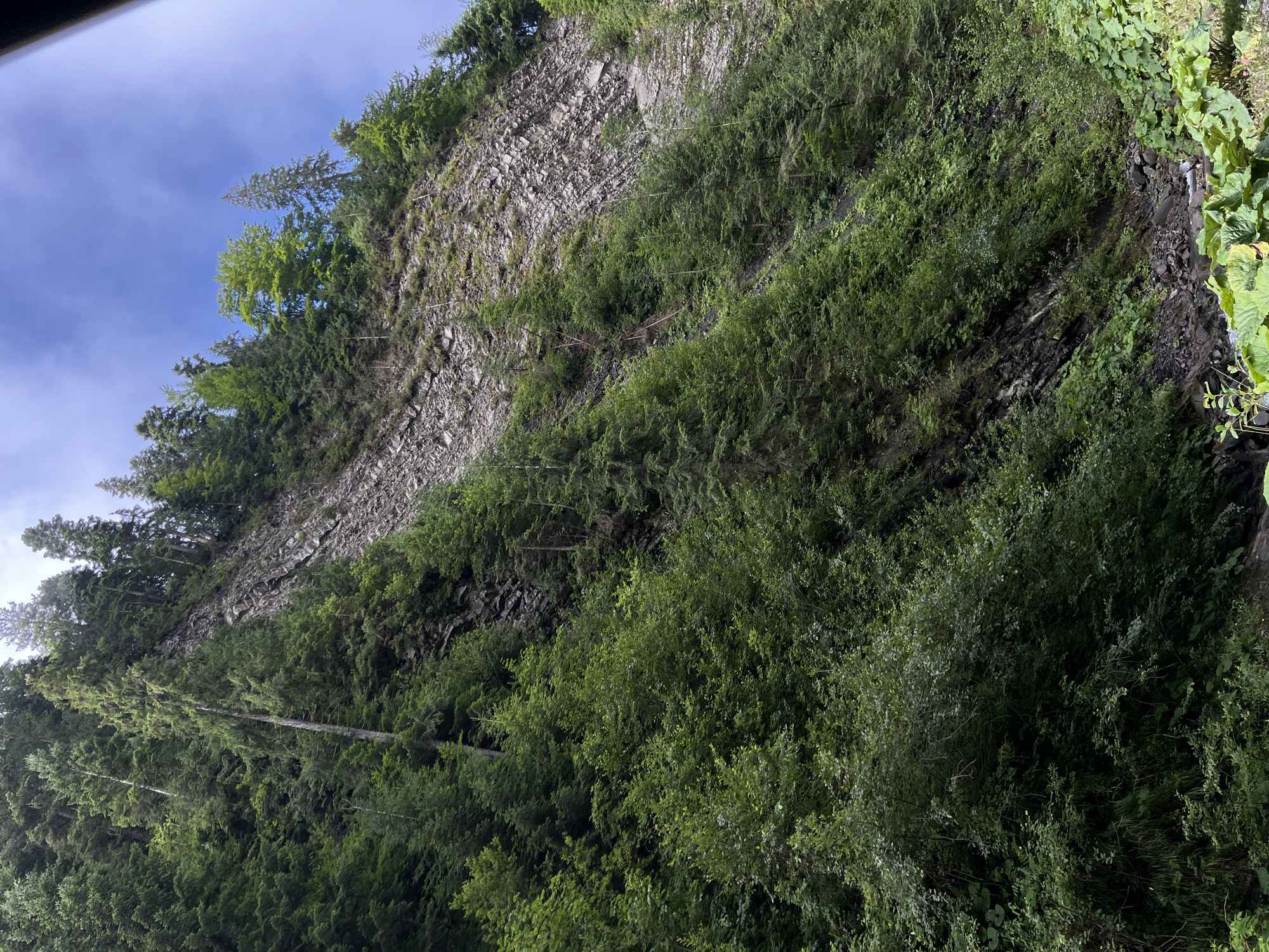 The image depicts a steep, rocky mountainside covered in lush green conifer trees and smaller deciduous vegetation. The rock face shows distinct layering, suggesting a natural geological formation. The sky above is partly cloudy with a bright blue sky visible. The scene appears to be a natural landscape, likely in a mountainous region. The location is the Ukrainian Carpathians, possibly near Yasinya, a town known for its natural beauty and mountainous terrain. The image focuses on the vastness of the natural environment, with no visible human presence or man-made structures.