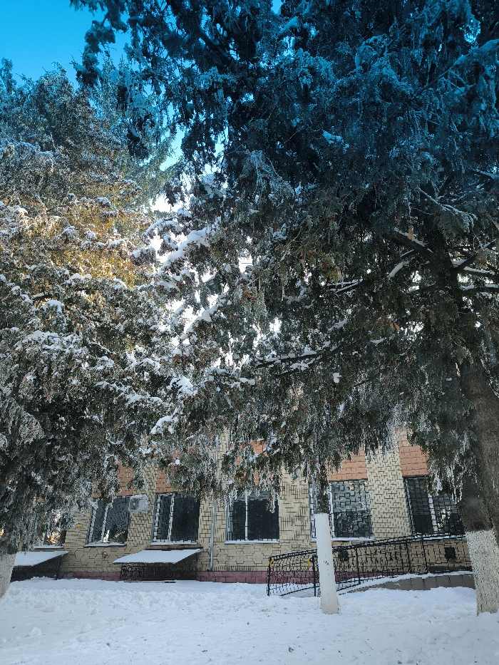 A low-angle shot captures a snow-covered landscape. A light brick building stands with barred windows, partially obscured by snow-laden evergreen trees. The trees on the left are lighter, perhaps illuminated by the sun, while those on the right are a darker blue hue. Patches of clear blue sky are visible through the trees. A snowy ground and a white pole complete the winter scene.