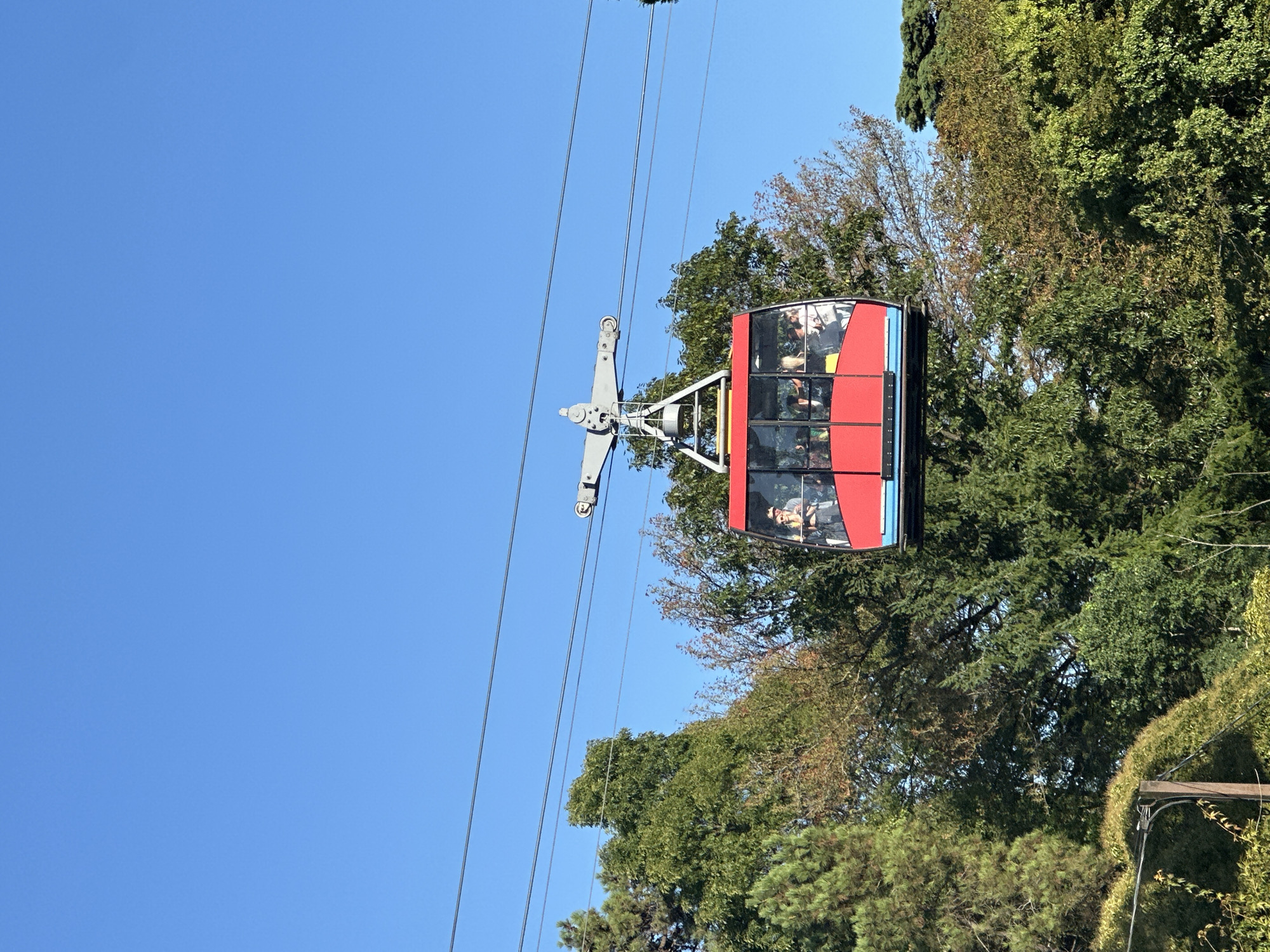A red cable car, with a blue stripe at the bottom, is suspended on a cable against a clear blue sky, with lush green trees and foliage visible below. The cable car is occupied by several people, some of whom are looking out of the windows. The scene appears to be set in a park or a scenic natural area.