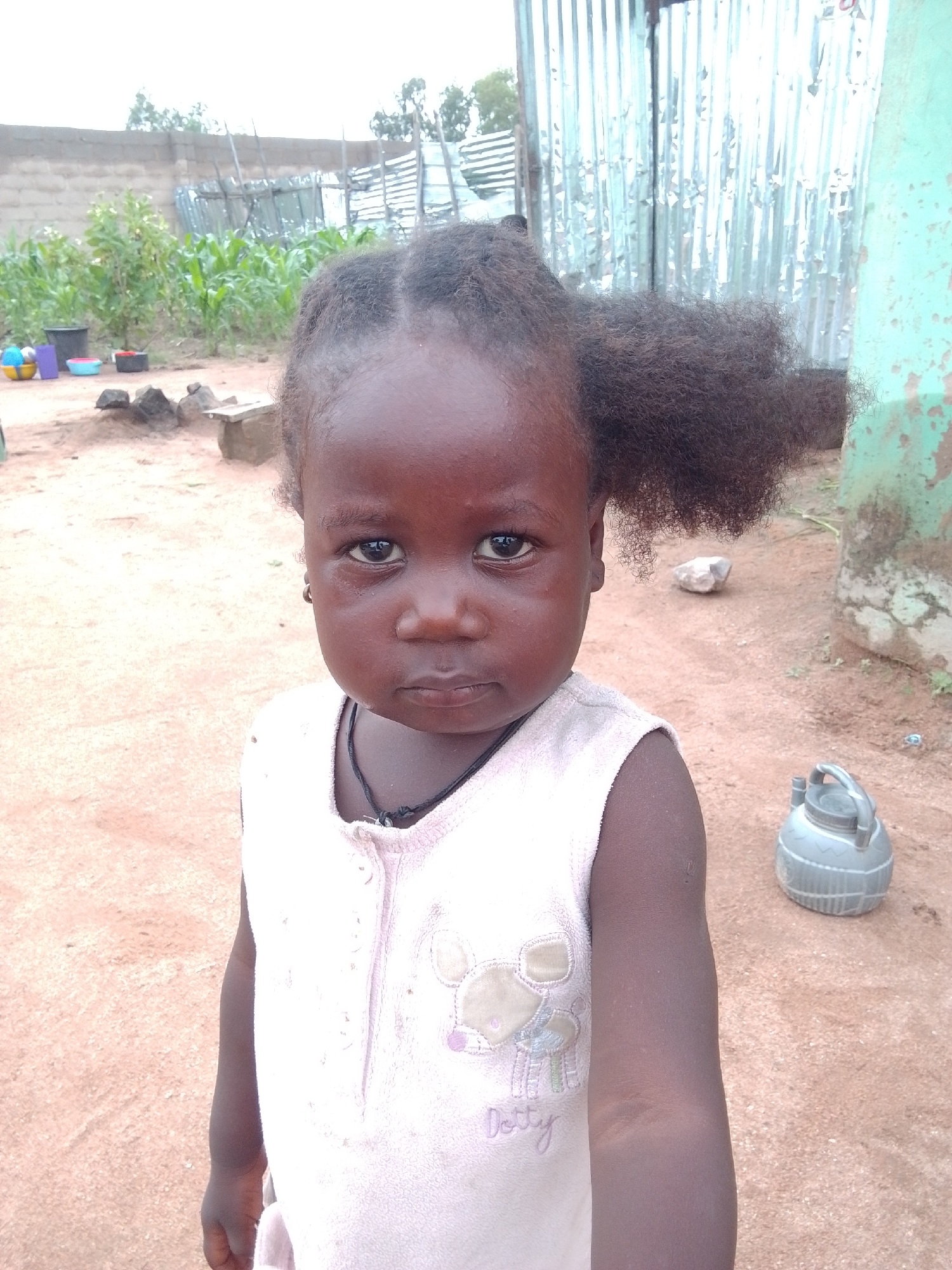 A young girl stands in an outdoor, dusty area in front of a corrugated metal structure and a light green building. She has dark skin and her hair is styled into two large puffs. She is wearing a light pink sleeveless top with an embroidered image of an elephant and the word "Dotty" written on it. The ground is covered in reddish-brown dirt. In the background, there is a fence made of brick and corrugated metal, and some green plants. To the right of the girl, a grey plastic container with a handle is visible on the ground. The scene appears to be in a rural or semi-rural setting in Howayi, Nigeria.