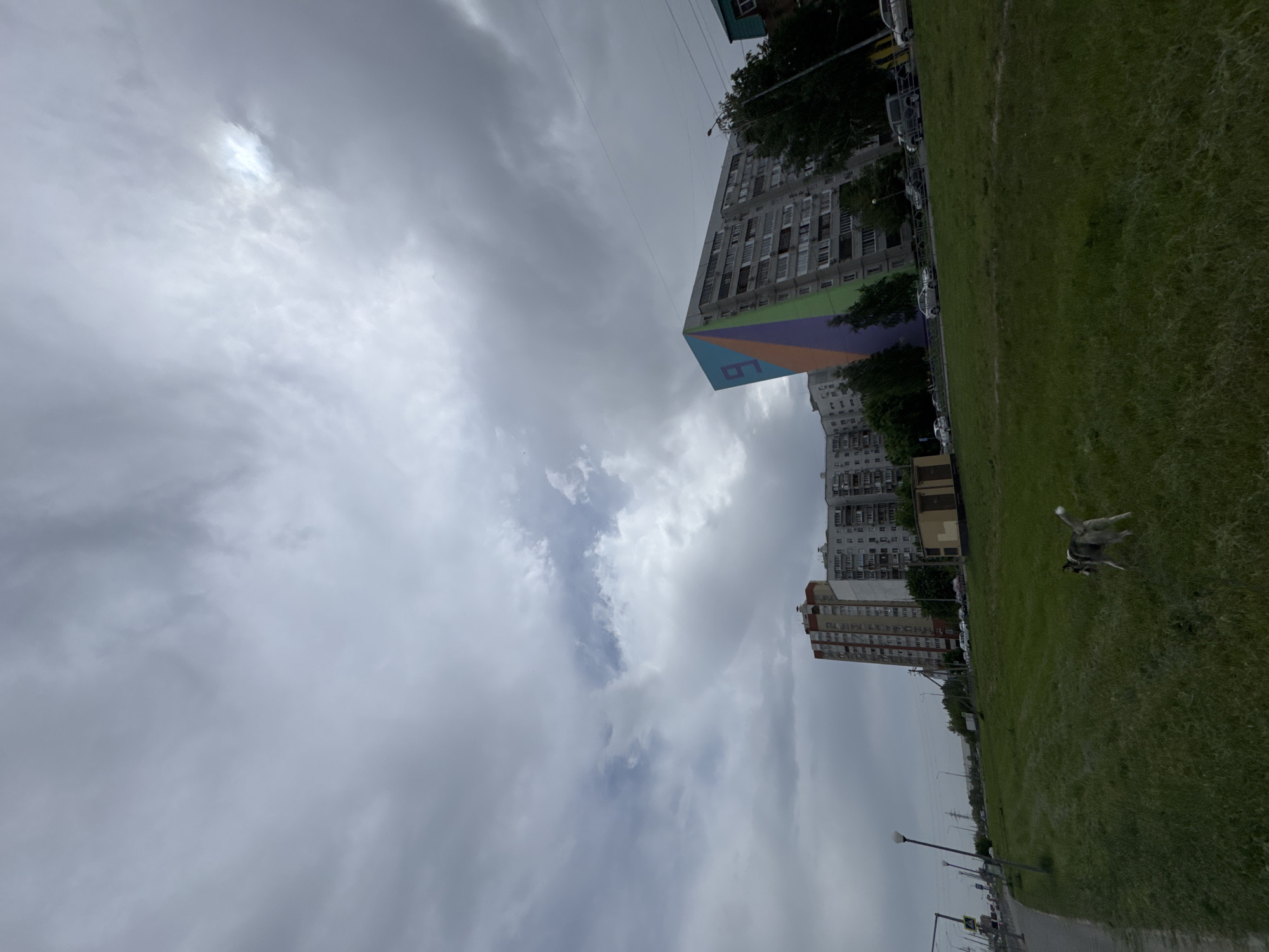 The scene depicts a street scene in an urban area. The view is mostly sky with heavy cloud cover, with a break where sunlight appears. On the right side of the image is a green field. A dog is running through the field. In the distance, there are several high-rise buildings. The buildings are grey, some with colored murals. There are also street lights visible along the edge of the field. The image is vertically oriented.