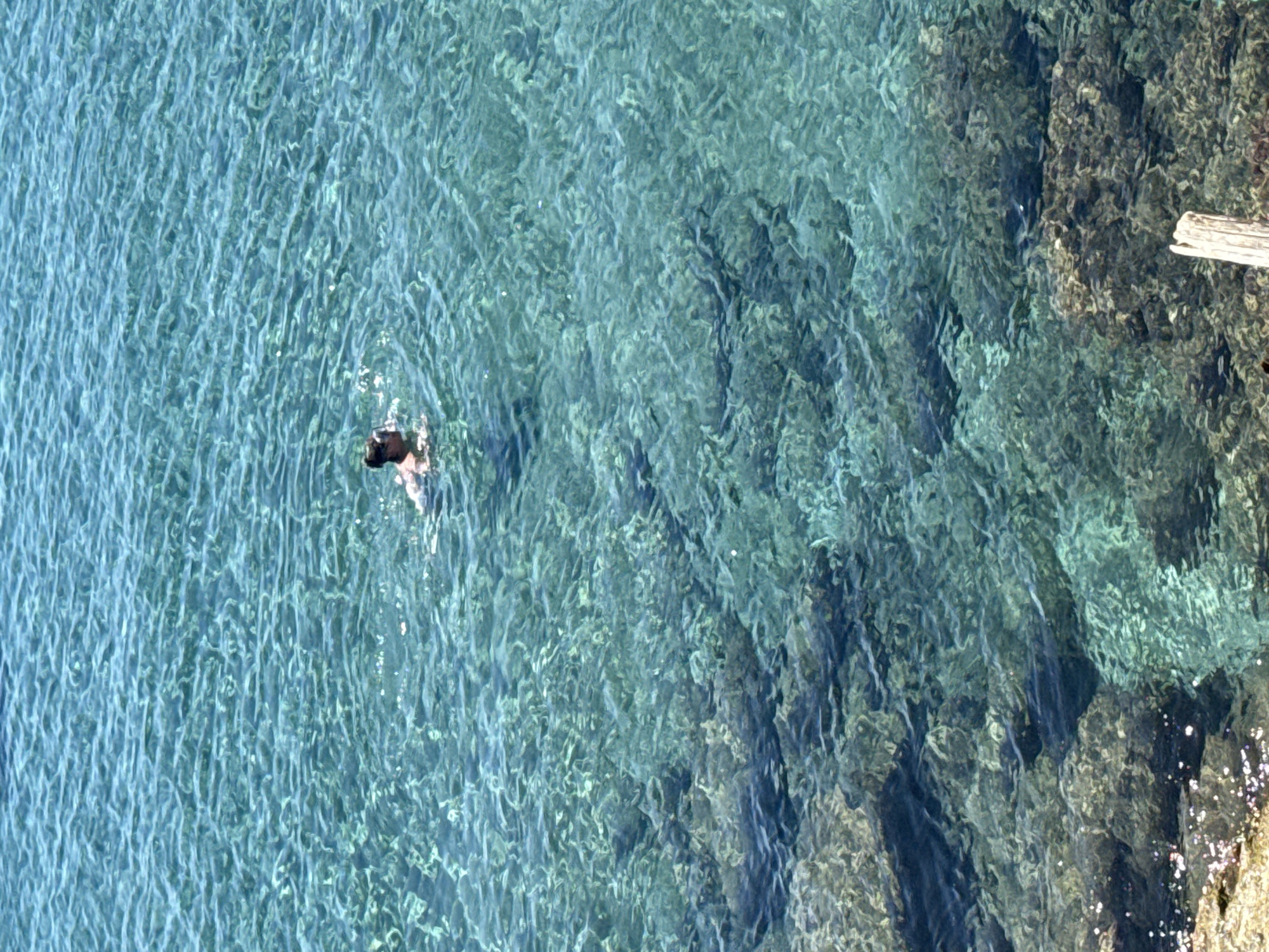 A lone person swims in the clear, turquoise waters of a coastal area. The water is shallow enough to see the rocky seabed beneath, with sunlight creating dappled patterns on the bottom. The person, partially submerged, appears to be enjoying a swim in the tranquil sea. The scene is likely a beach or a rocky cove within the Municipal Unit of Chersonisos, Crete, Greece, a region known for its beautiful beaches and clear waters.