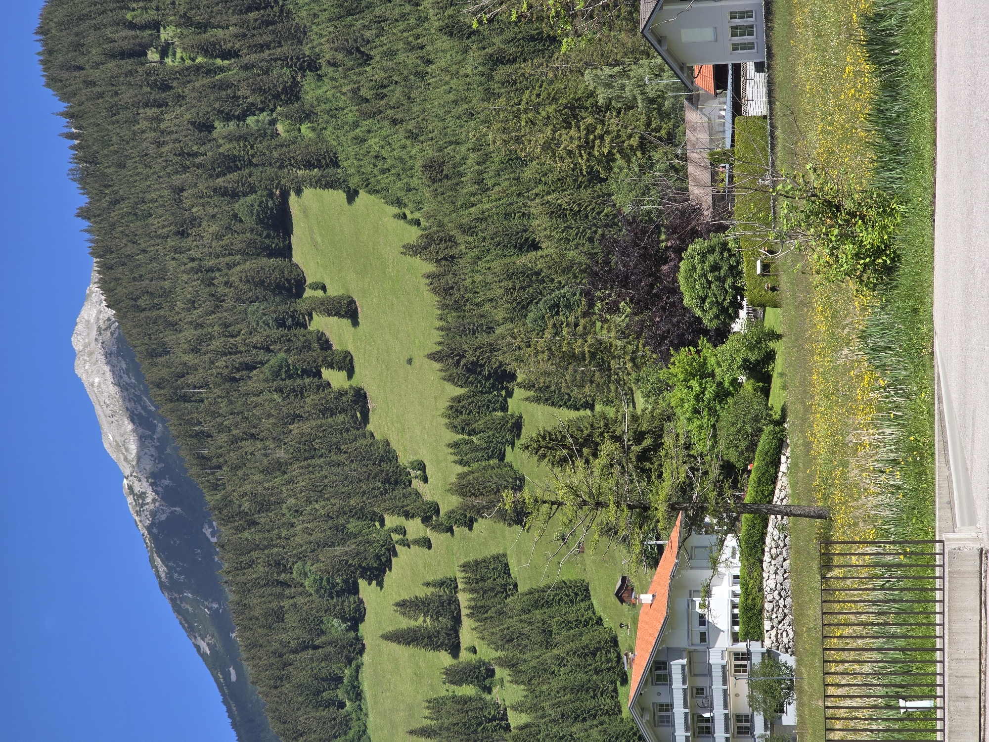 A sun-drenched, high-angle medium shot captures a serene alpine village in Lermoos, Austria. The scene unfolds with a majestic, snow-capped mountain peak dominating the background, its rugged slopes partially obscured by a dense forest of dark green coniferous trees. The forest transitions into a verdant, sunlit meadow dotted with scattered trees, creating a picturesque contrast between wild nature and human habitation.
In the foreground, a white building with a red-tiled roof, characteristic of Tyrolean architecture, stands prominently. Its multiple windows and balconies suggest a multi-story dwelling. Adjacent to it, a lower, light-colored building with a gray roof is partially visible. The buildings are nestled amidst lush green lawns, interspersed with vibrant yellow wildflowers and tall grasses. A dark metal fence runs along the bottom of the frame, separating the residential area from a paved surface. The environment is bathed in bright sunlight, casting subtle shadows and highlighting the natural beauty of the Austrian Alps. No people are visible in the scene, giving it a tranquil and untouched quality.