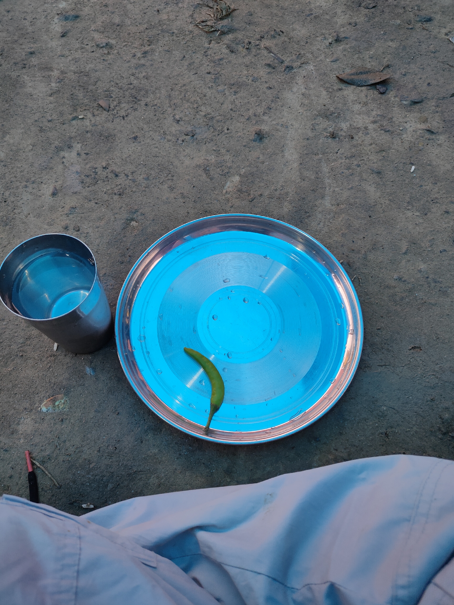 The image depicts an overhead view of a plate with a green chili pepper and a glass of water placed on the ground. The ground appears to be dirt and gravel, with some dry leaves and debris scattered around. The plate is a metallic dish with a bright blue interior, showing circular patterns. The chili pepper is positioned in the center of the plate. The glass is a silver metal cup filled with water, reflecting the surrounding environment. In the lower right corner, a portion of someone's light-colored clothing, likely pants, is visible. The scene appears to be outdoors in a rural or undeveloped area, potentially in Damadi, India, given the context. There are no explicit signs of a city environment, but the presence of a simple meal setup suggests human activity. The lighting indicates it might be daytime.