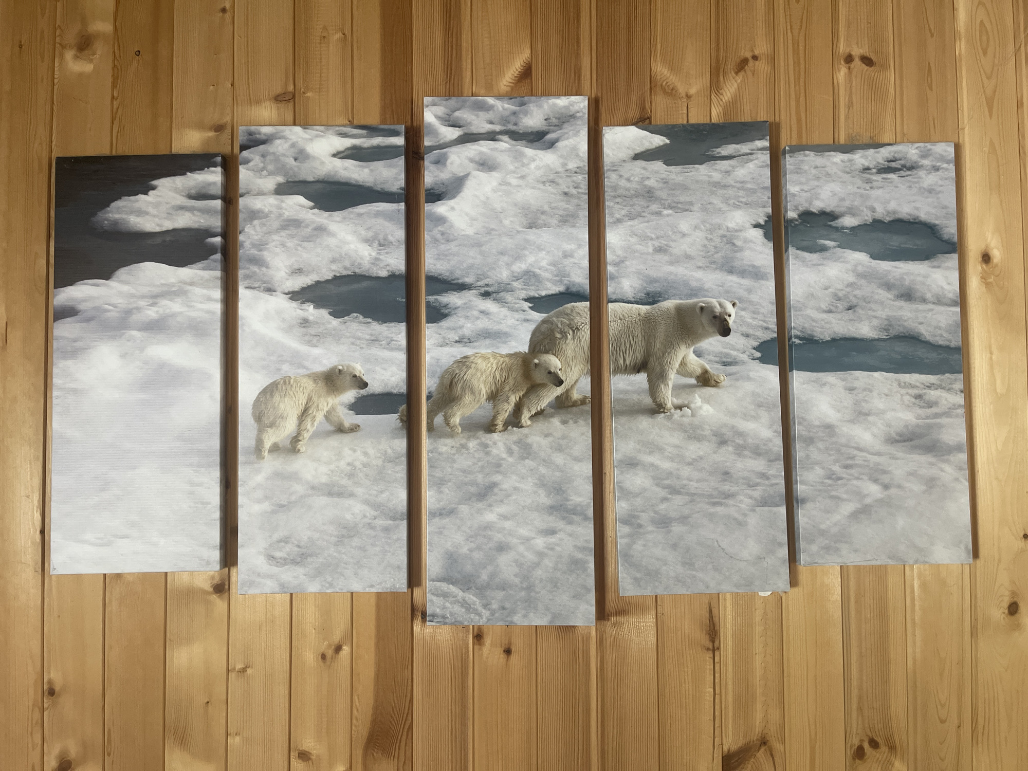 The image displays a five-panel canvas artwork depicting polar bears on an ice floe. The artwork is mounted on a wooden wall. The left-most panel shows a single polar bear cub walking on snow. The second panel from the left features two polar bear cubs walking together. The central panel showcases an adult polar bear walking, followed by one of the cubs. The fourth panel from the left shows the adult polar bear walking away from the viewer, and the right-most panel shows a partial view of the adult polar bear's hindquarters as it walks on the ice. The scene is set against a backdrop of fractured ice and dark water. The wooden wall behind the artwork consists of vertical planks with a natural finish. The image is of the artwork itself, not a depiction of a scene in Bukhovoye, Russia.