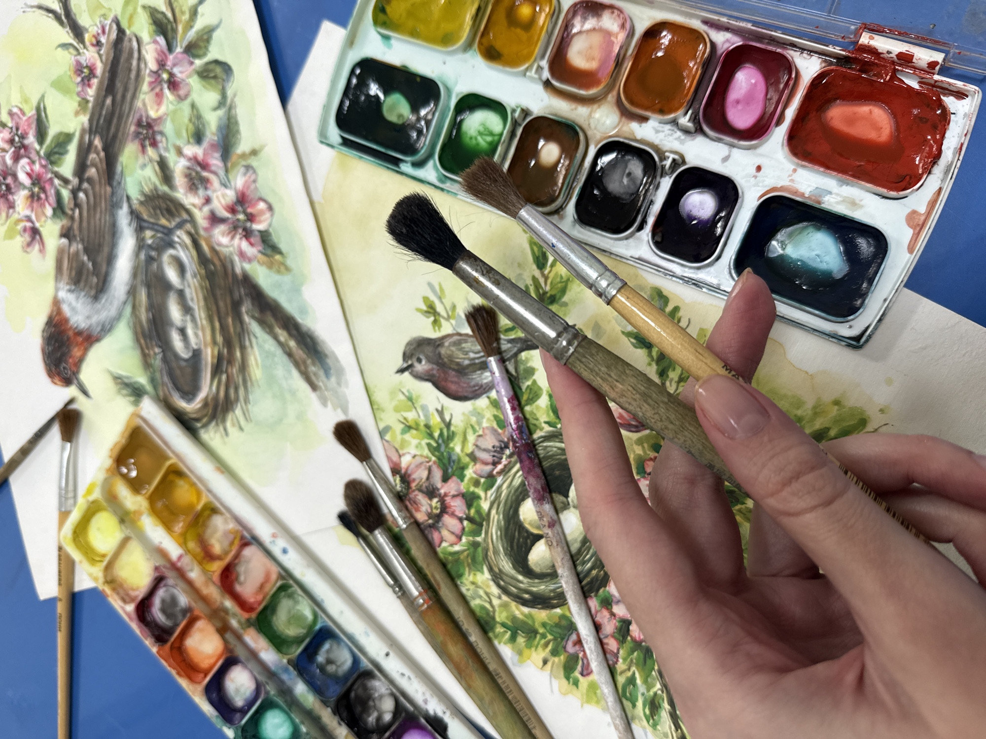 The image depicts a close-up view of a hand holding a paintbrush over a watercolor painting of a bird in a nest. The painting is set against a blue surface, possibly a table. Watercolor palettes and additional paintbrushes are scattered around the painting, suggesting an art studio or creative workspace. The hand is positioned to add details to the artwork, with the paintbrush poised above the canvas. The scene is well-lit, highlighting the vibrant colors of the watercolors and the delicate details of the painting. There is no information in the image that would allow for the identification of the location in Vladivostok, Russia.