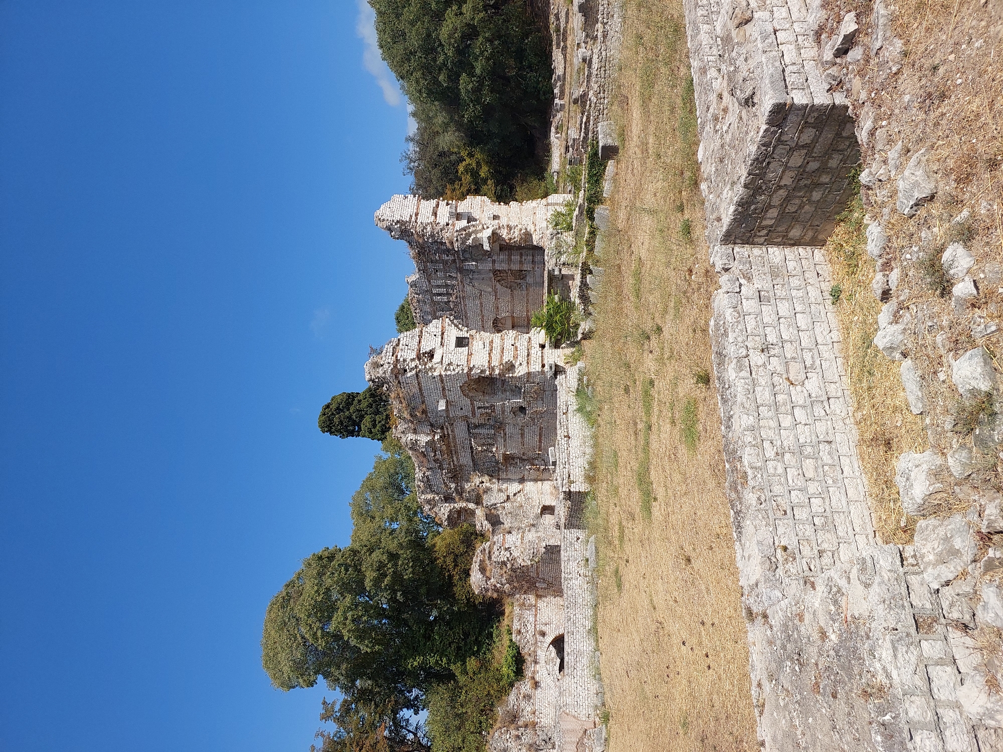 This is a full-shot photograph of the Roman ruins of Cimiez in Nice, France. The ruins, primarily constructed of stone and brick, are weathered and partially crumbled, suggesting significant age. In the background, lush green trees form a dense backdrop against a clear blue sky. The foreground is dominated by dry, yellowed grass, with more stone structures scattered across the landscape. The image is taken during the daytime, with ample sunlight illuminating the scene. There are no people or animals visible in the photograph.